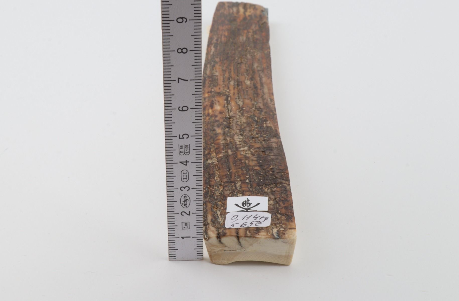 Brown mammoth bark