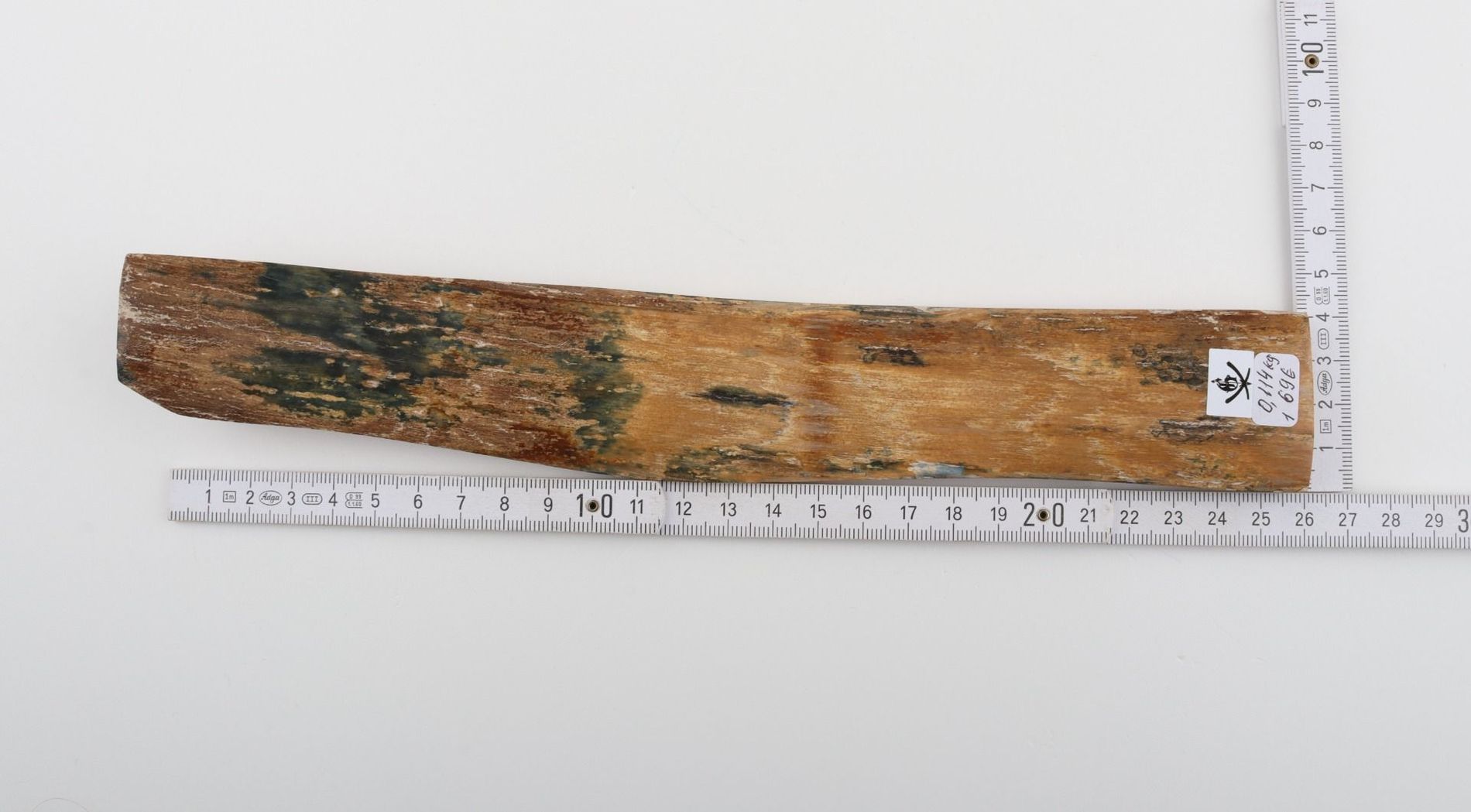 Beige-green mammoth bark