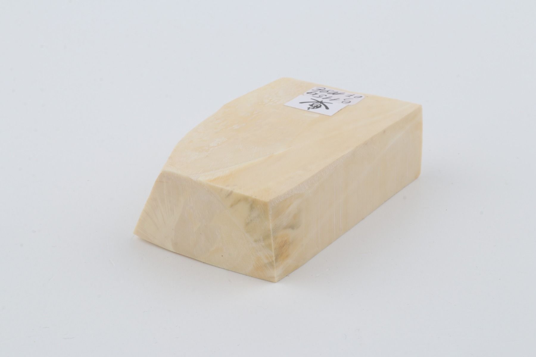White mammoth ivory segment
