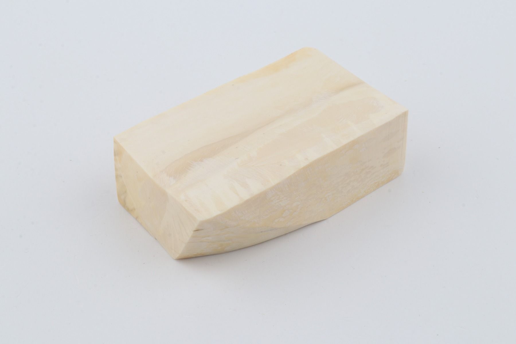 White mammoth ivory segment