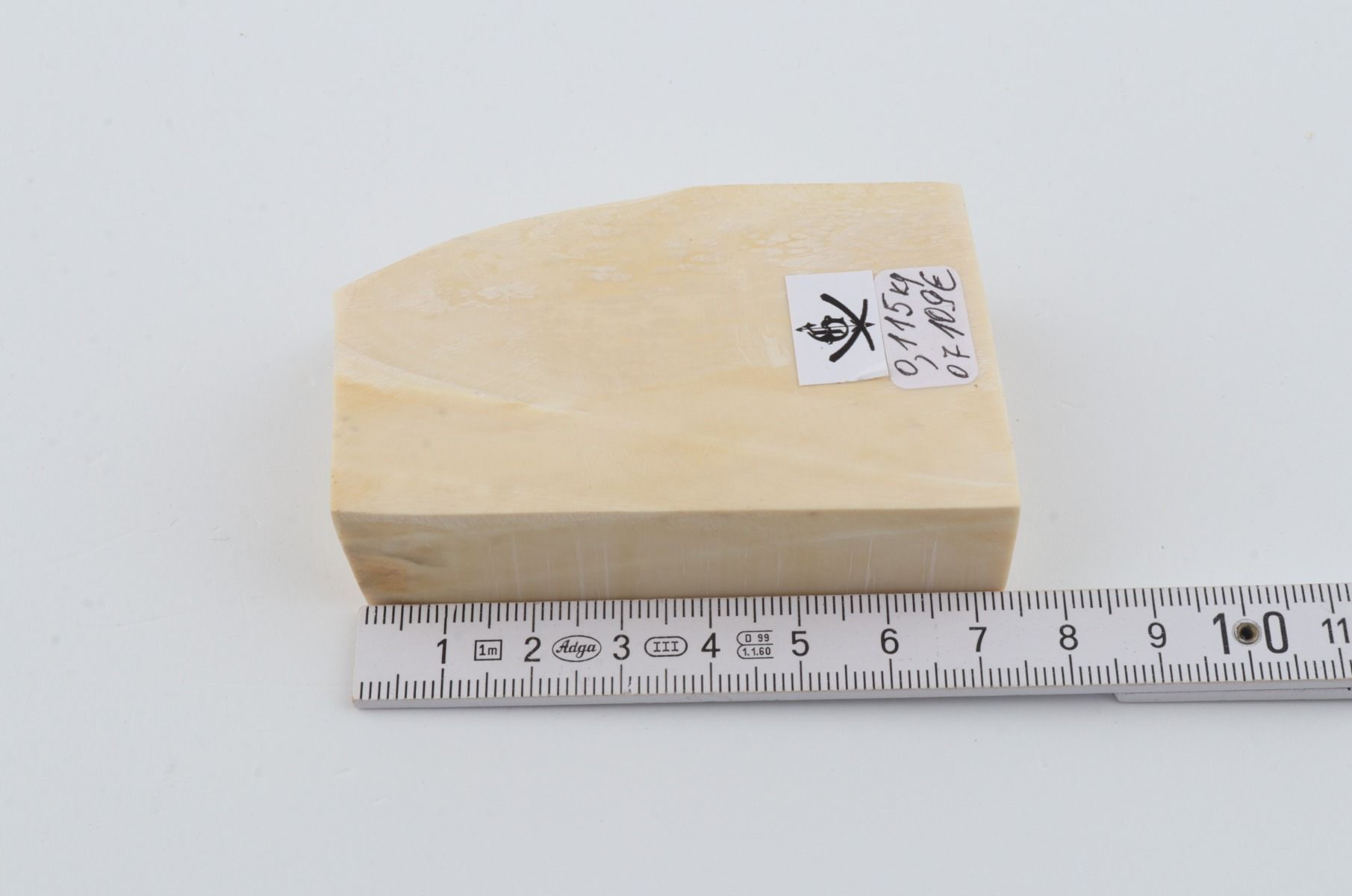 White mammoth ivory segment