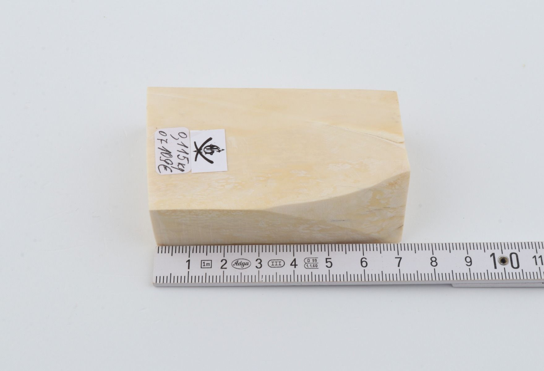 White mammoth ivory segment