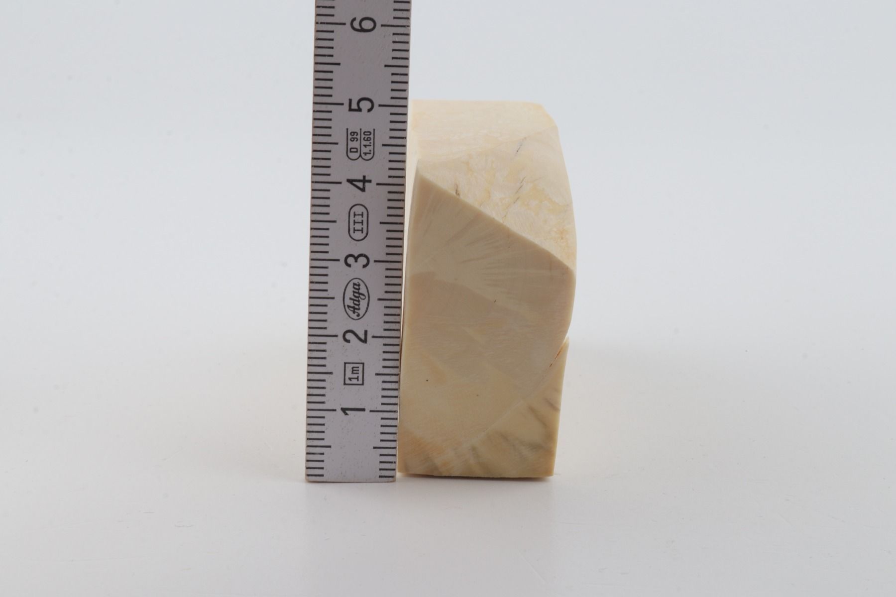White mammoth ivory segment
