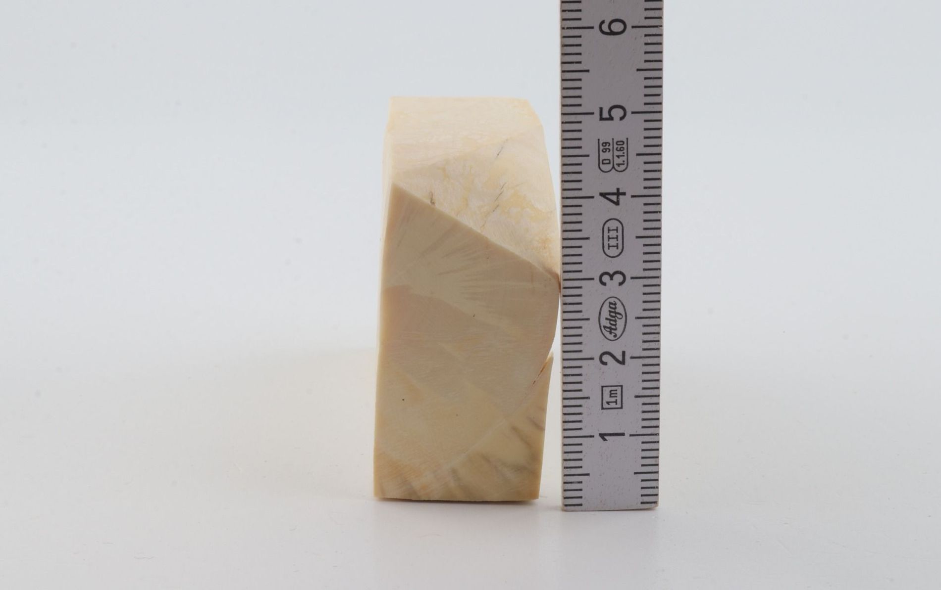 White mammoth ivory segment