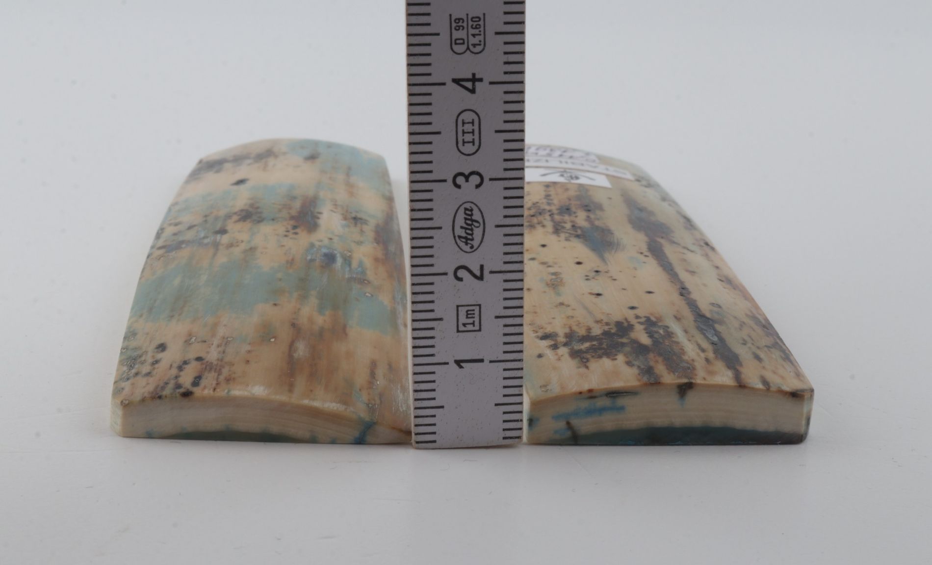 Stabilised mammoth bark scales