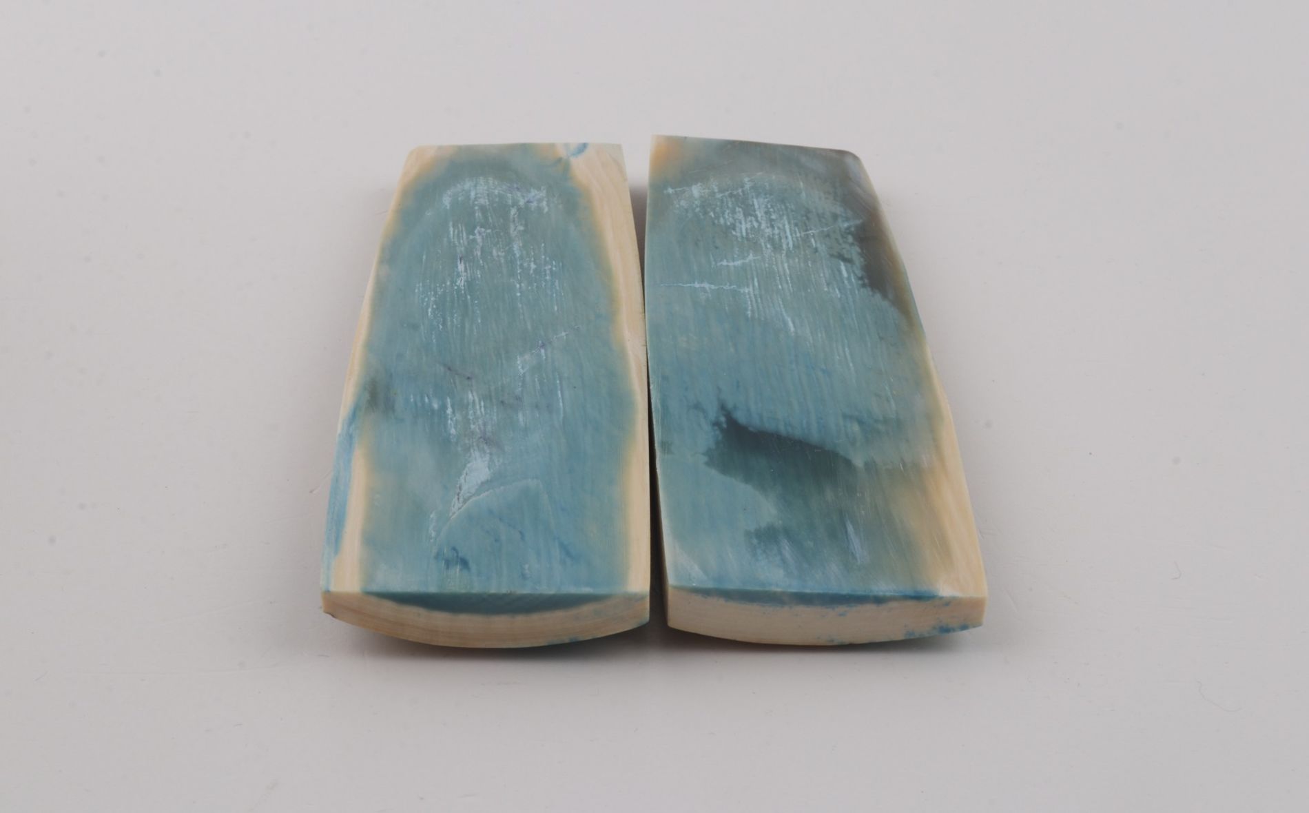 Stabilised mammoth bark scales