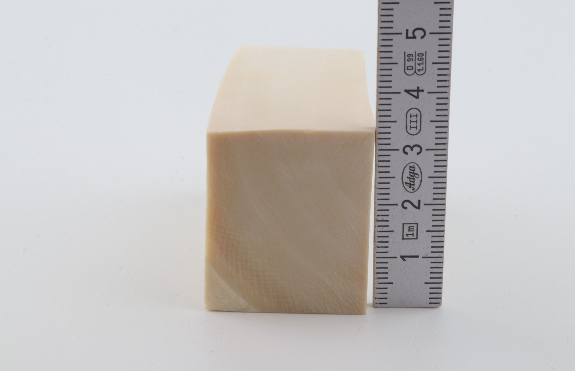 White mammoth ivory segment