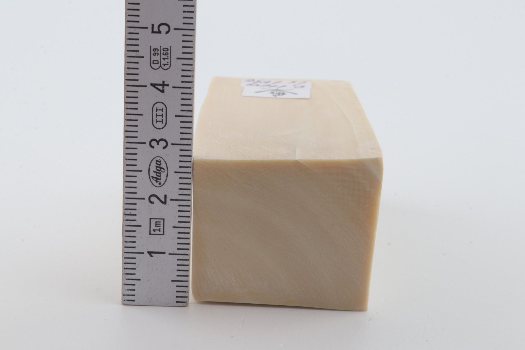 White mammoth ivory segment