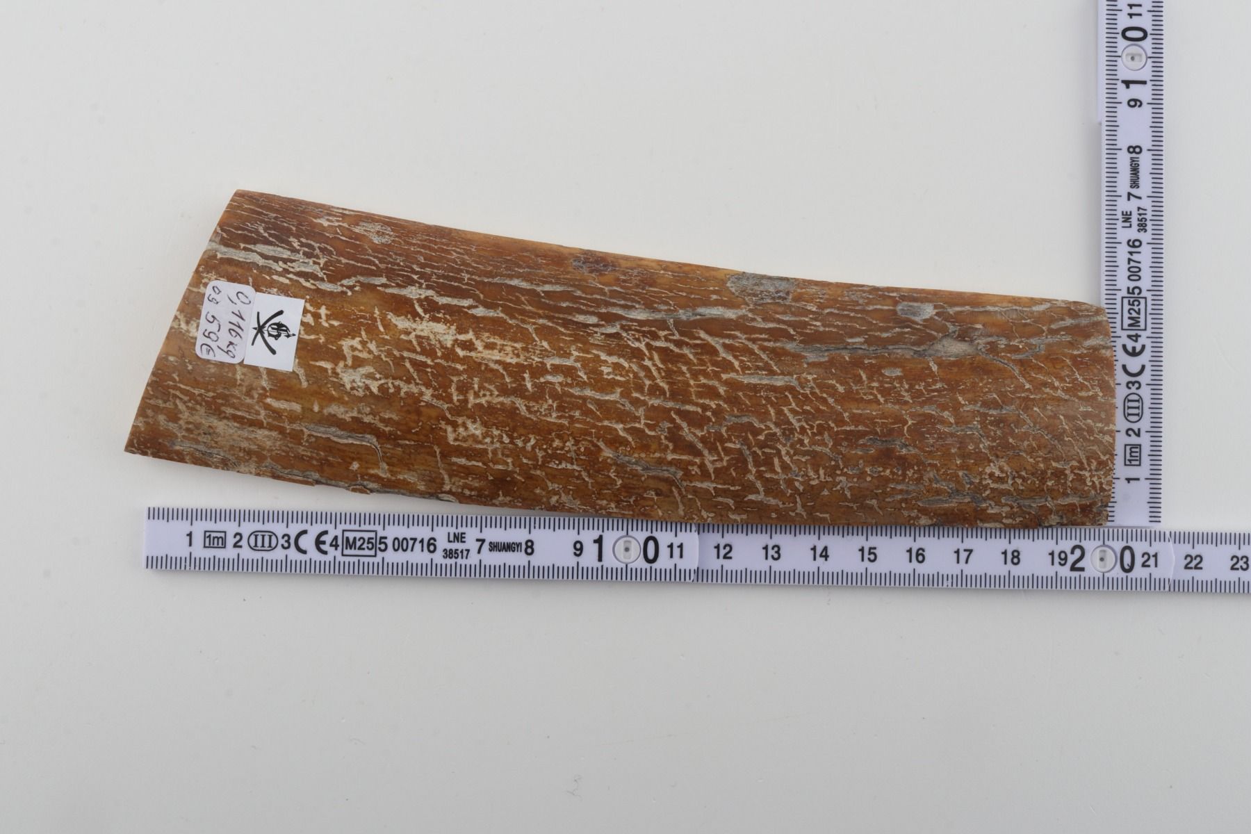 Mustard mammoth bark