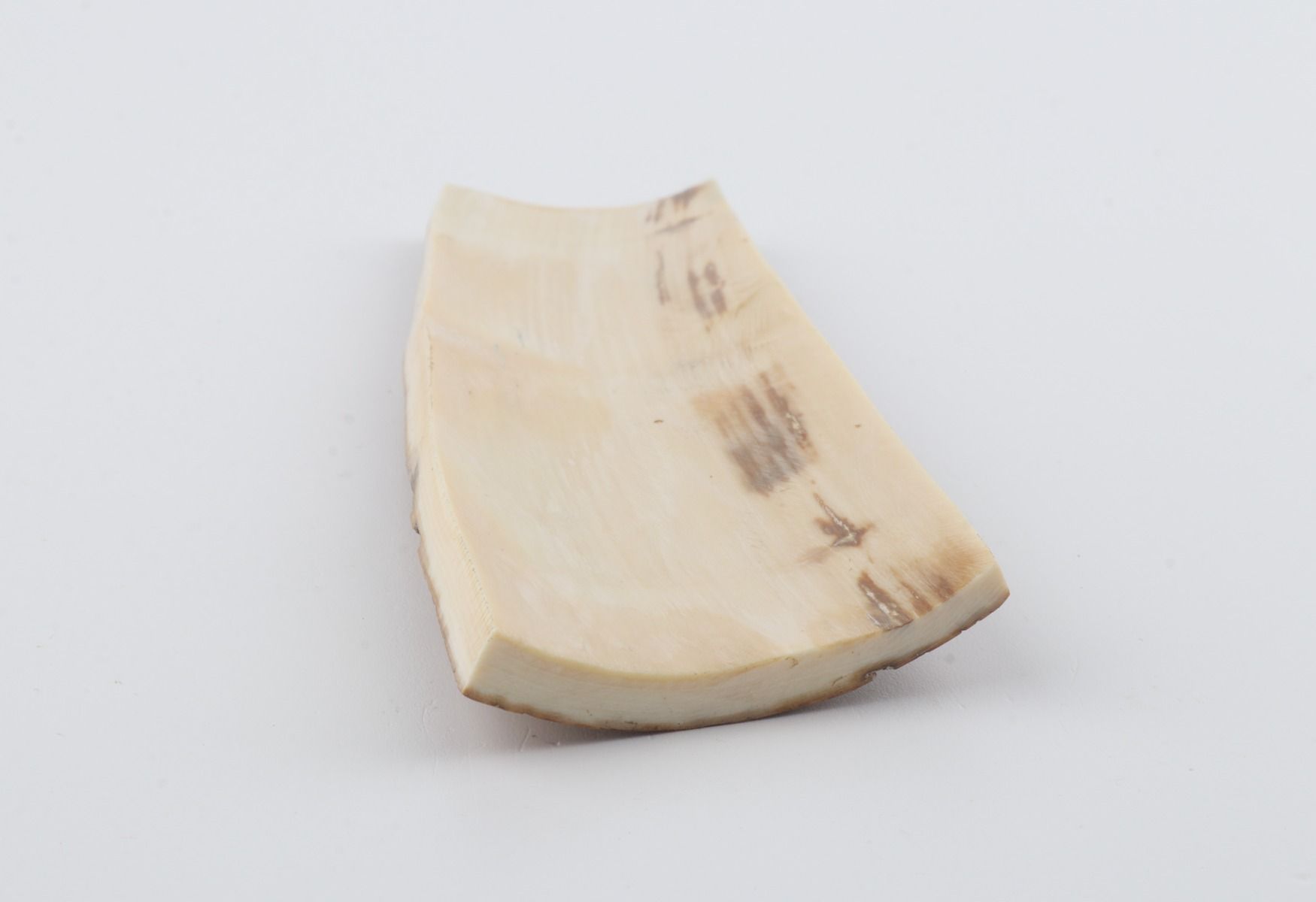 Mustard mammoth bark