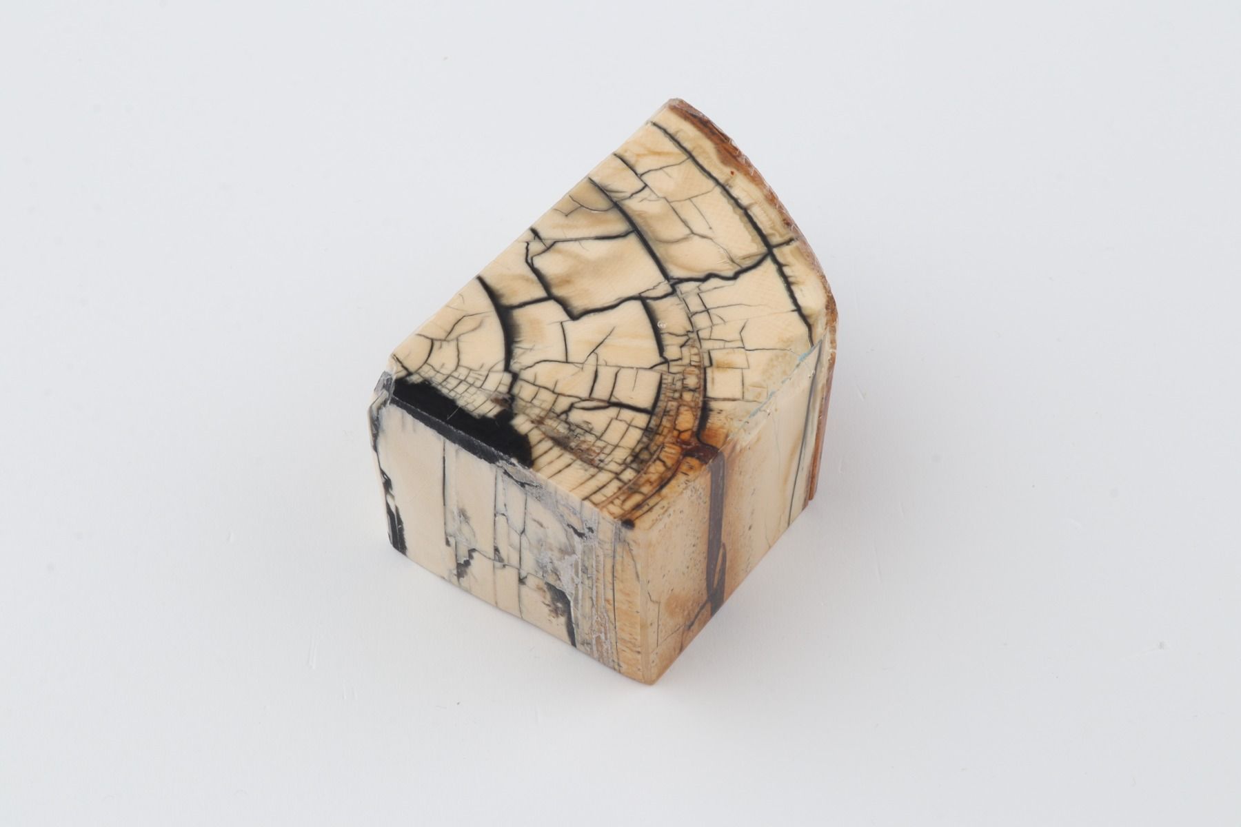 Stabilized mammoth ivory piece