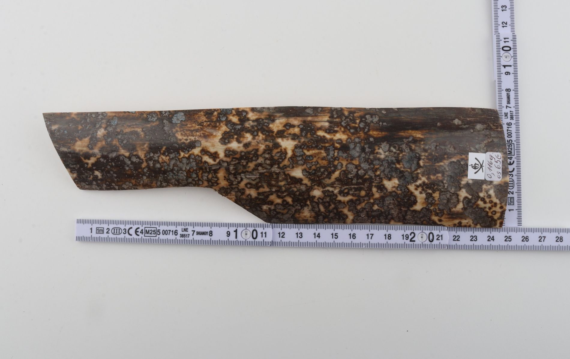Grey mammoth bark