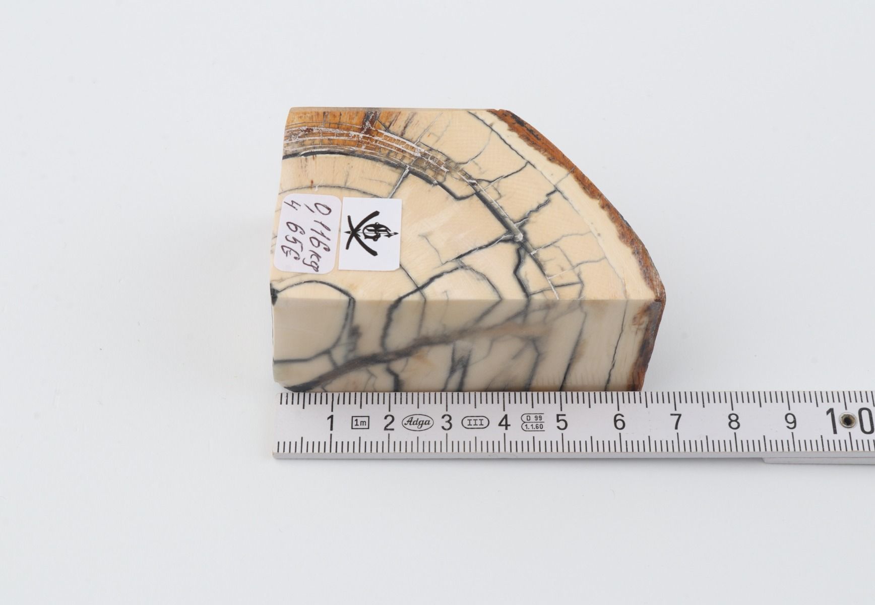 Stabilized mammoth ivory piece