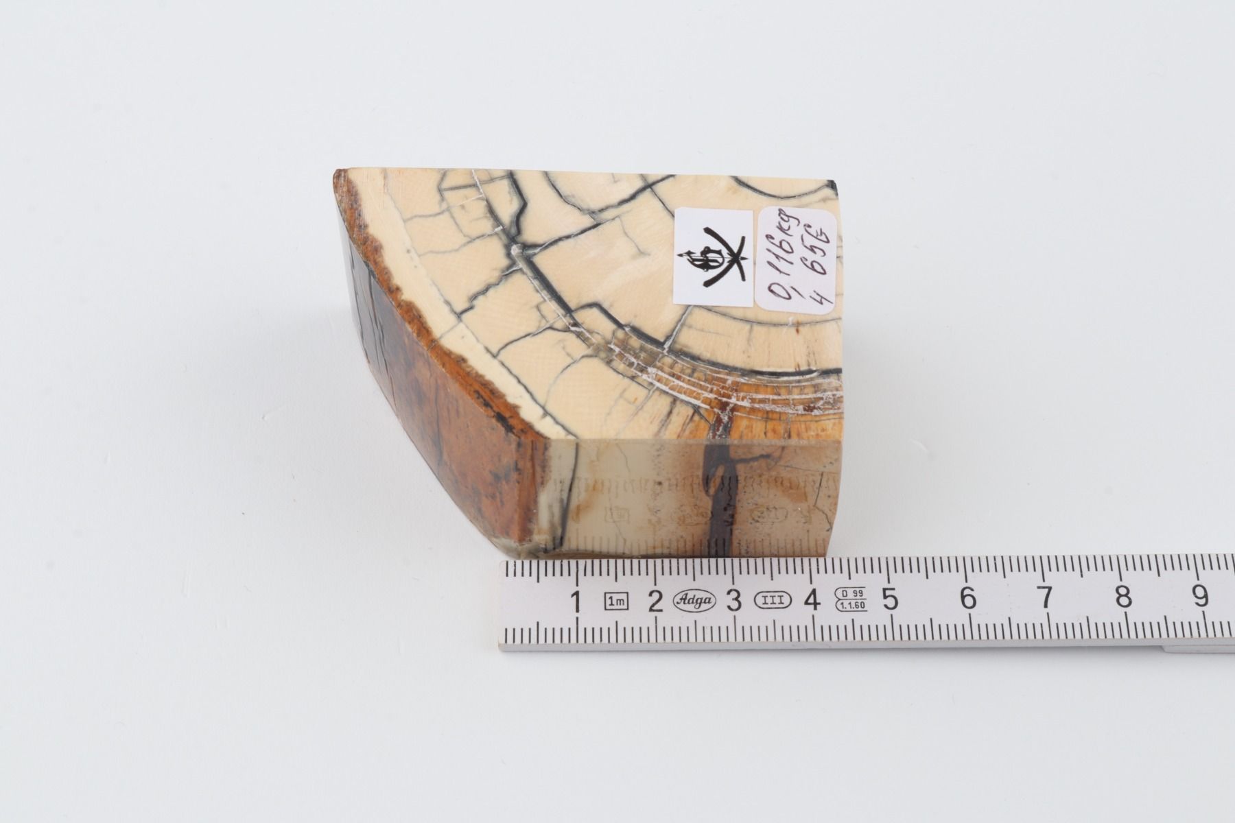 Stabilized mammoth ivory piece