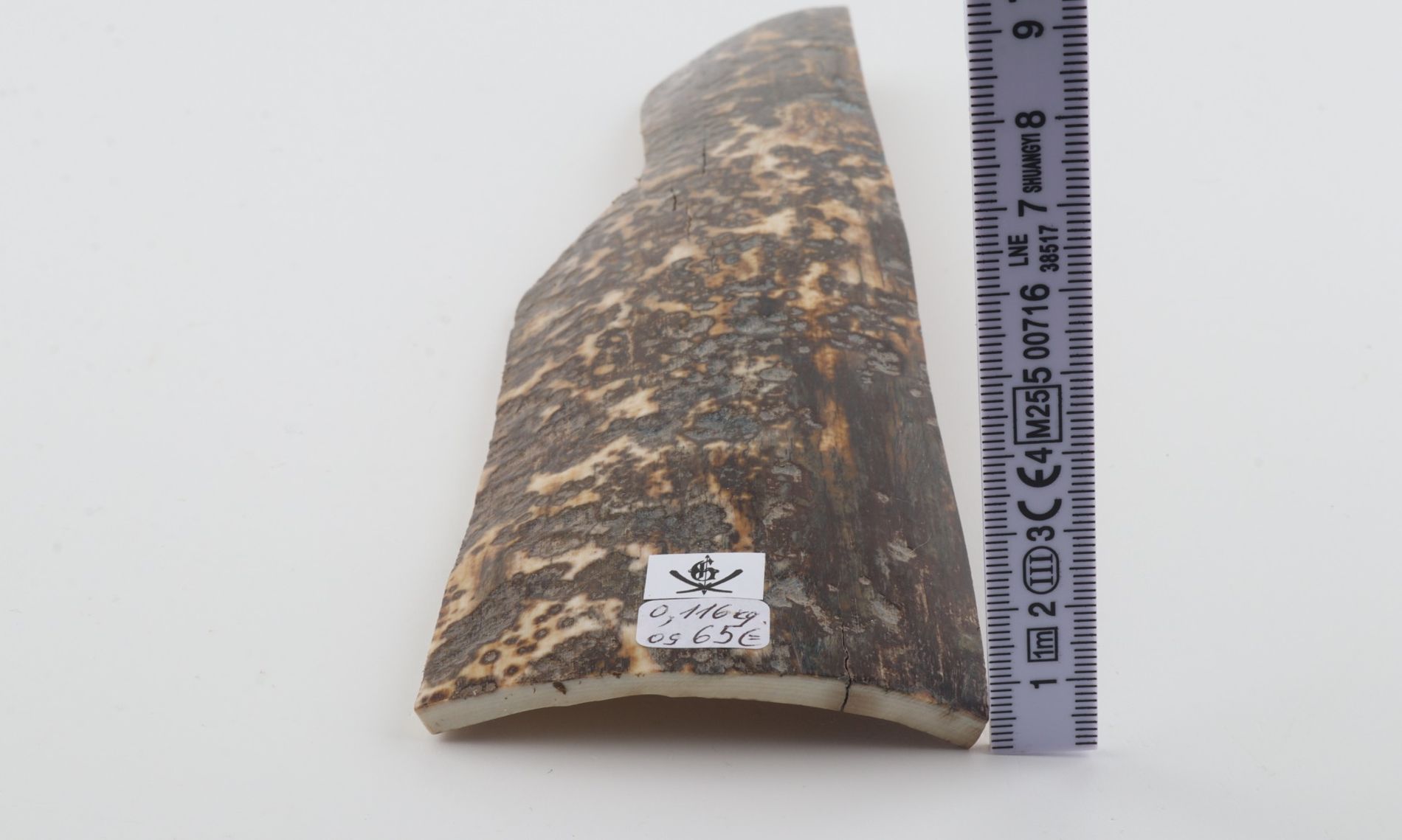 Grey mammoth bark