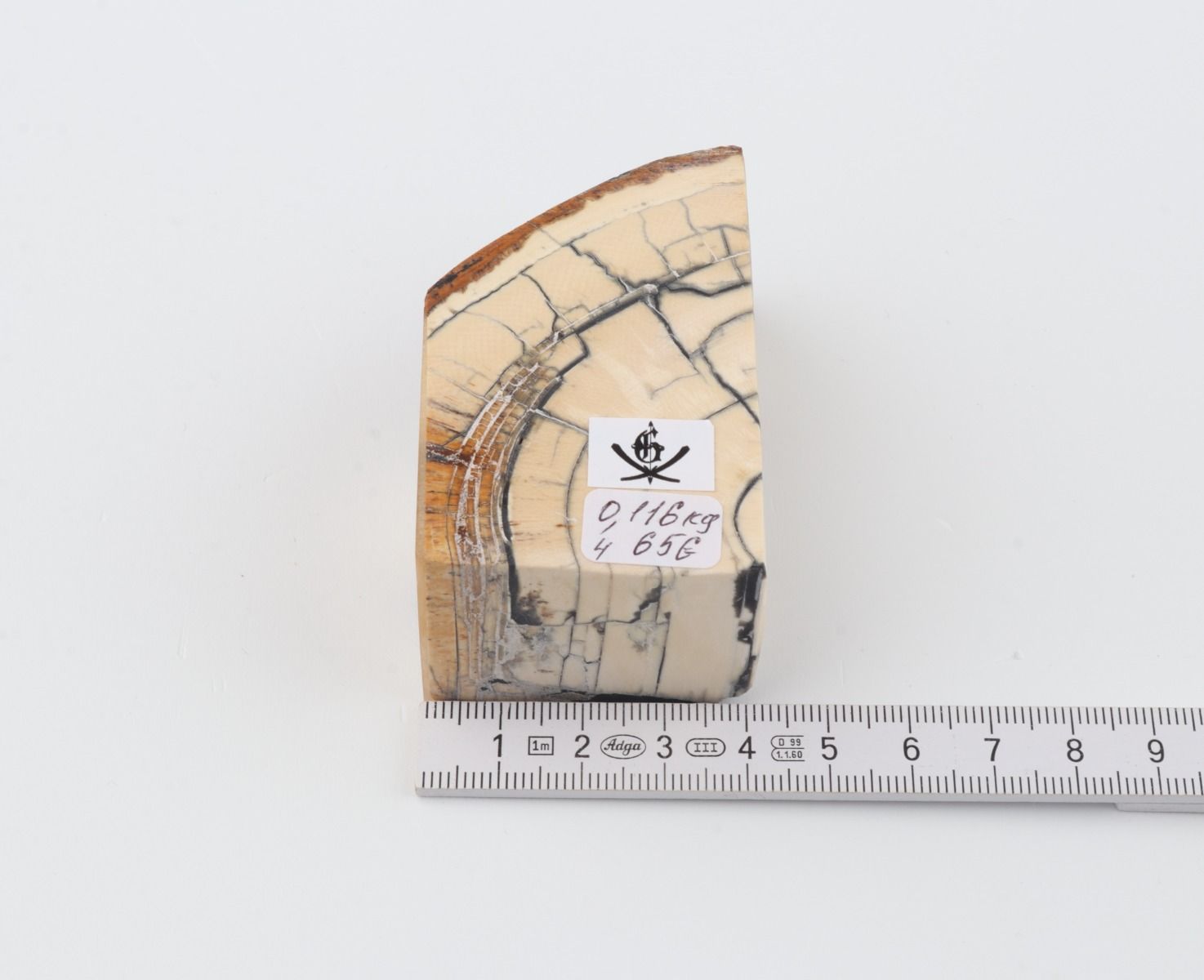 Stabilized mammoth ivory piece