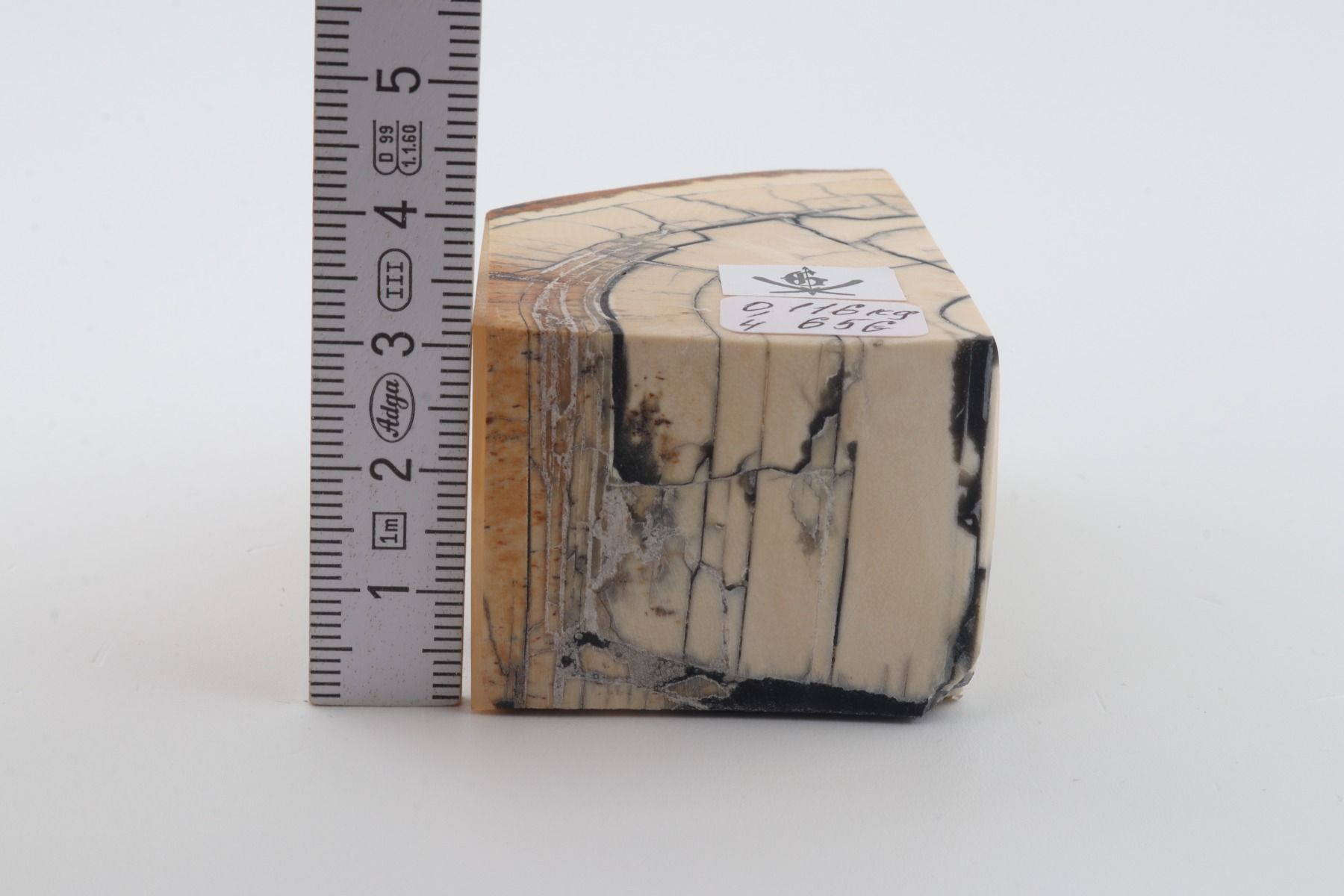 Stabilized mammoth ivory piece