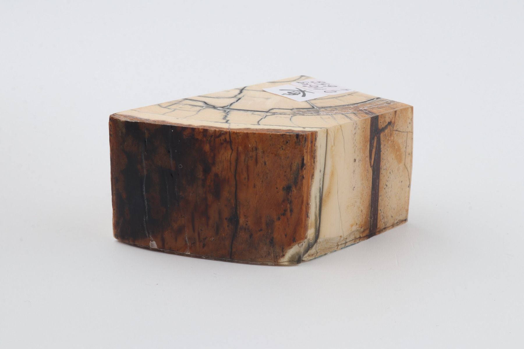 Stabilized mammoth ivory piece