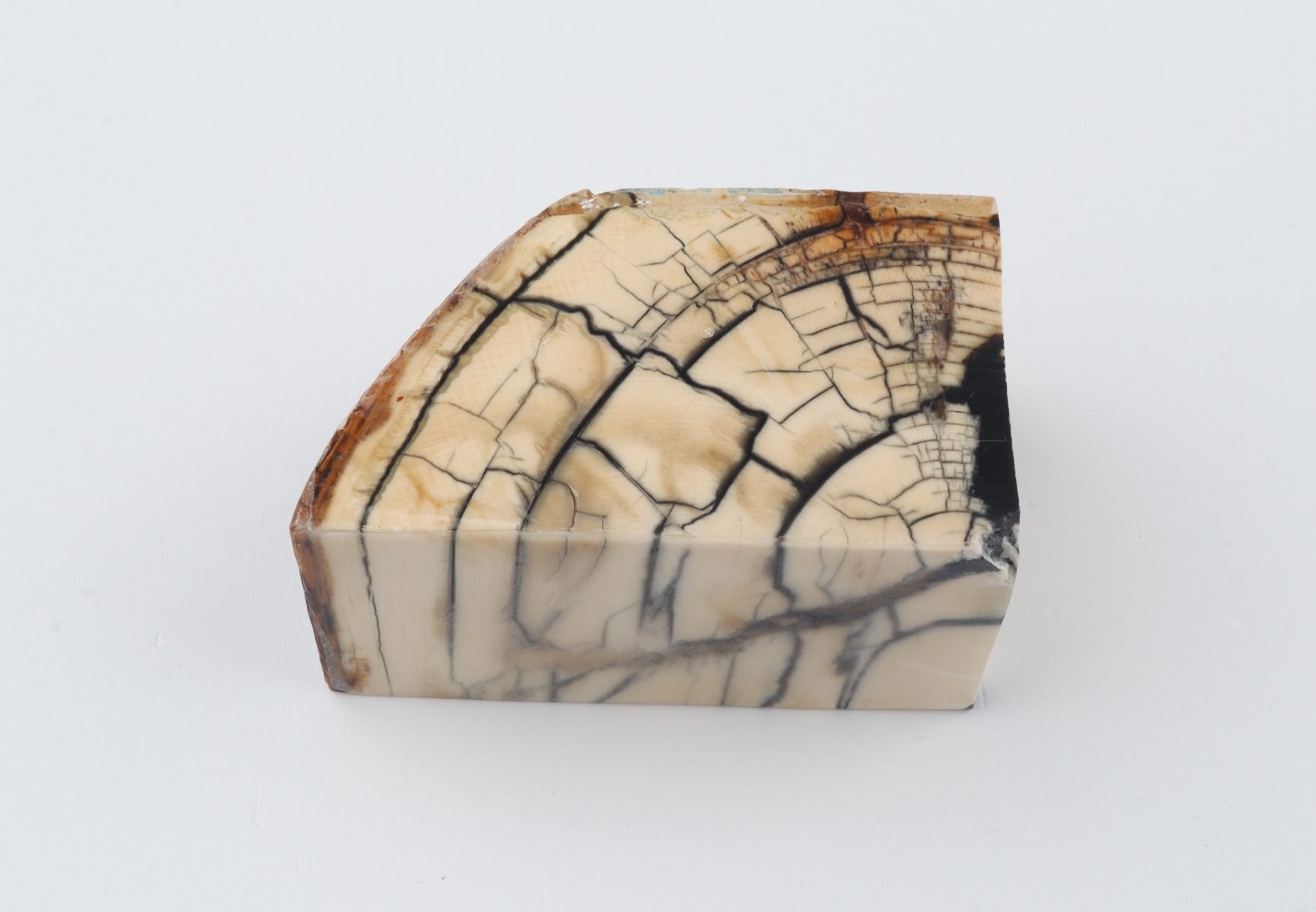 Stabilized mammoth ivory piece