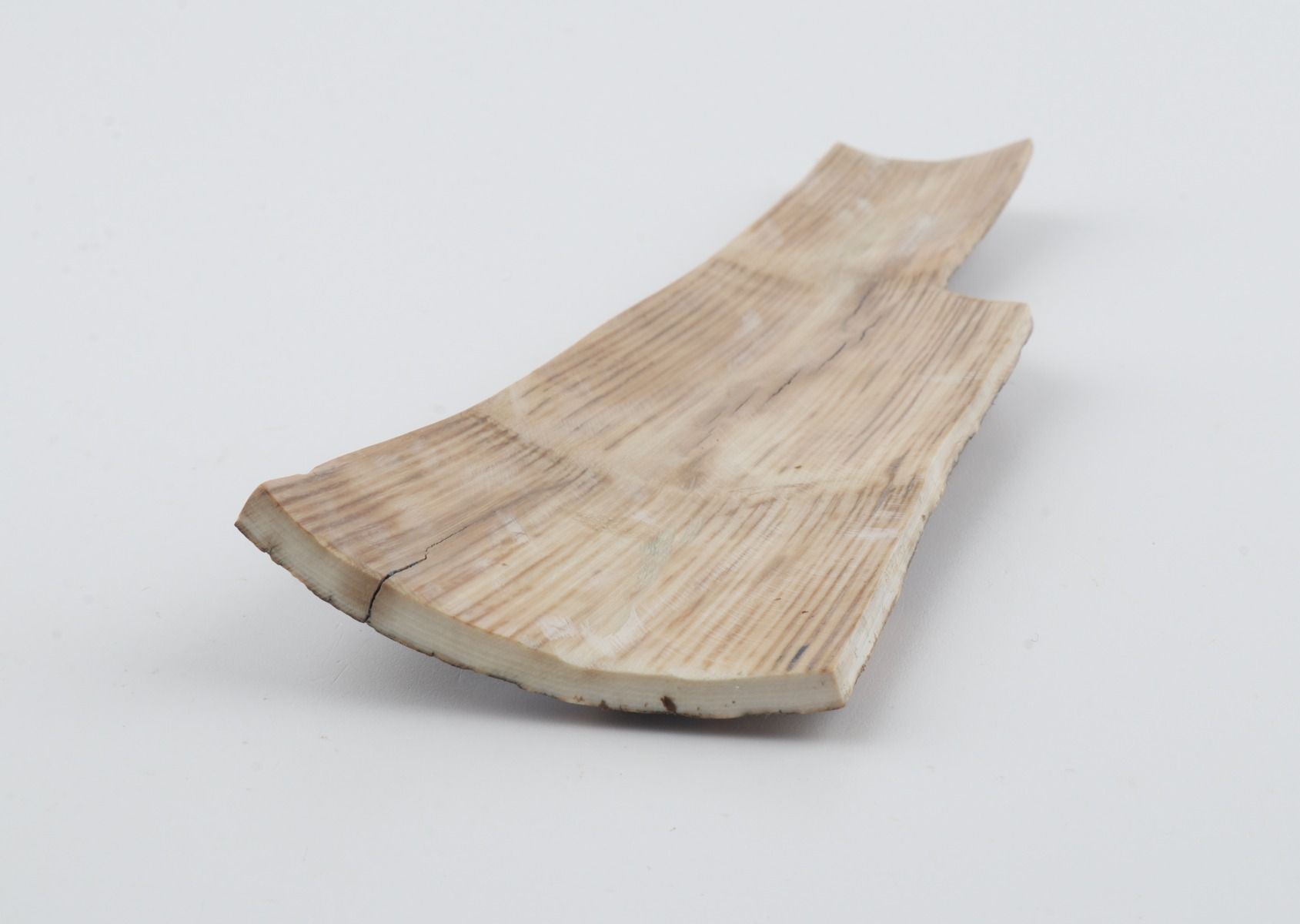 Grey mammoth bark