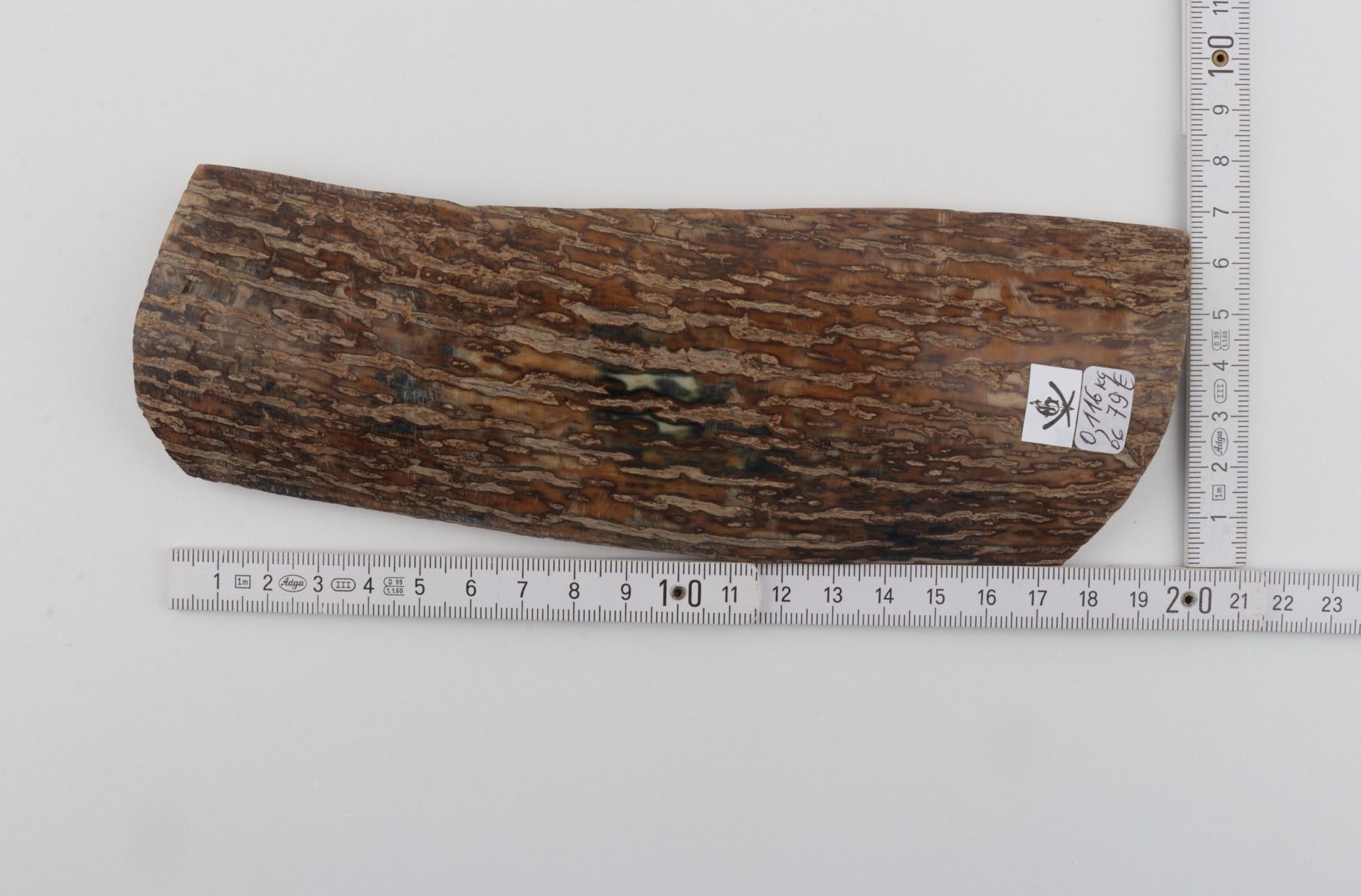 Beige mammoth bark