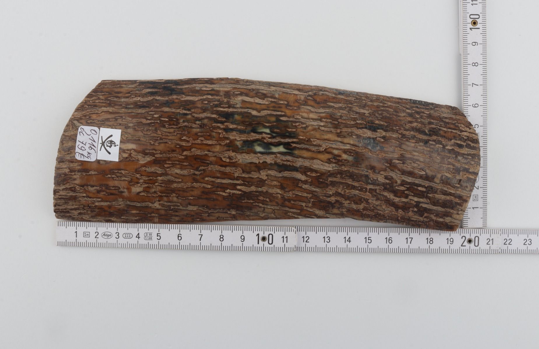 Beige mammoth bark