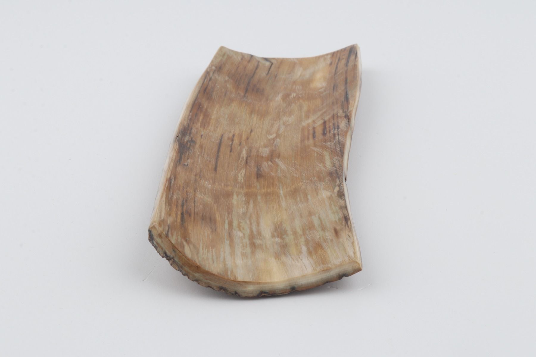 Beige mammoth bark