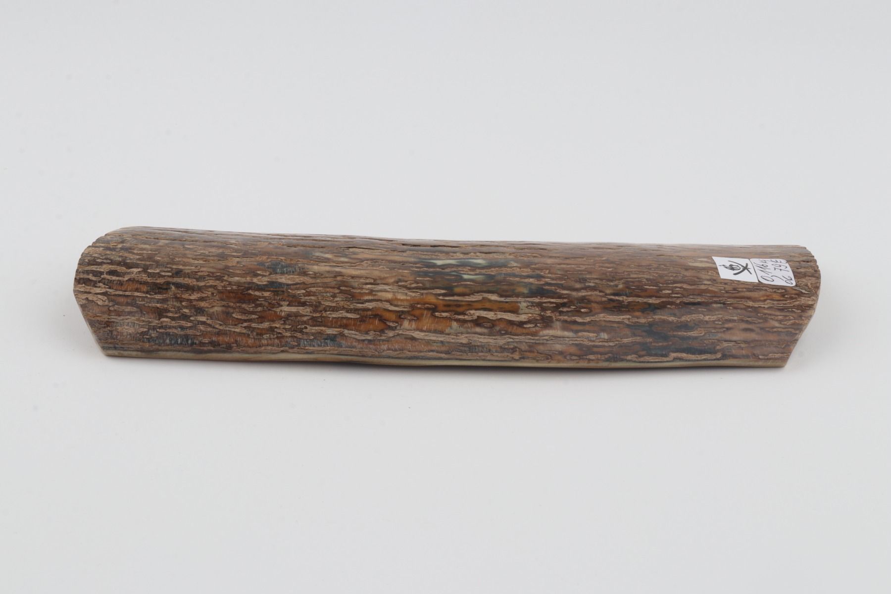 Beige mammoth bark