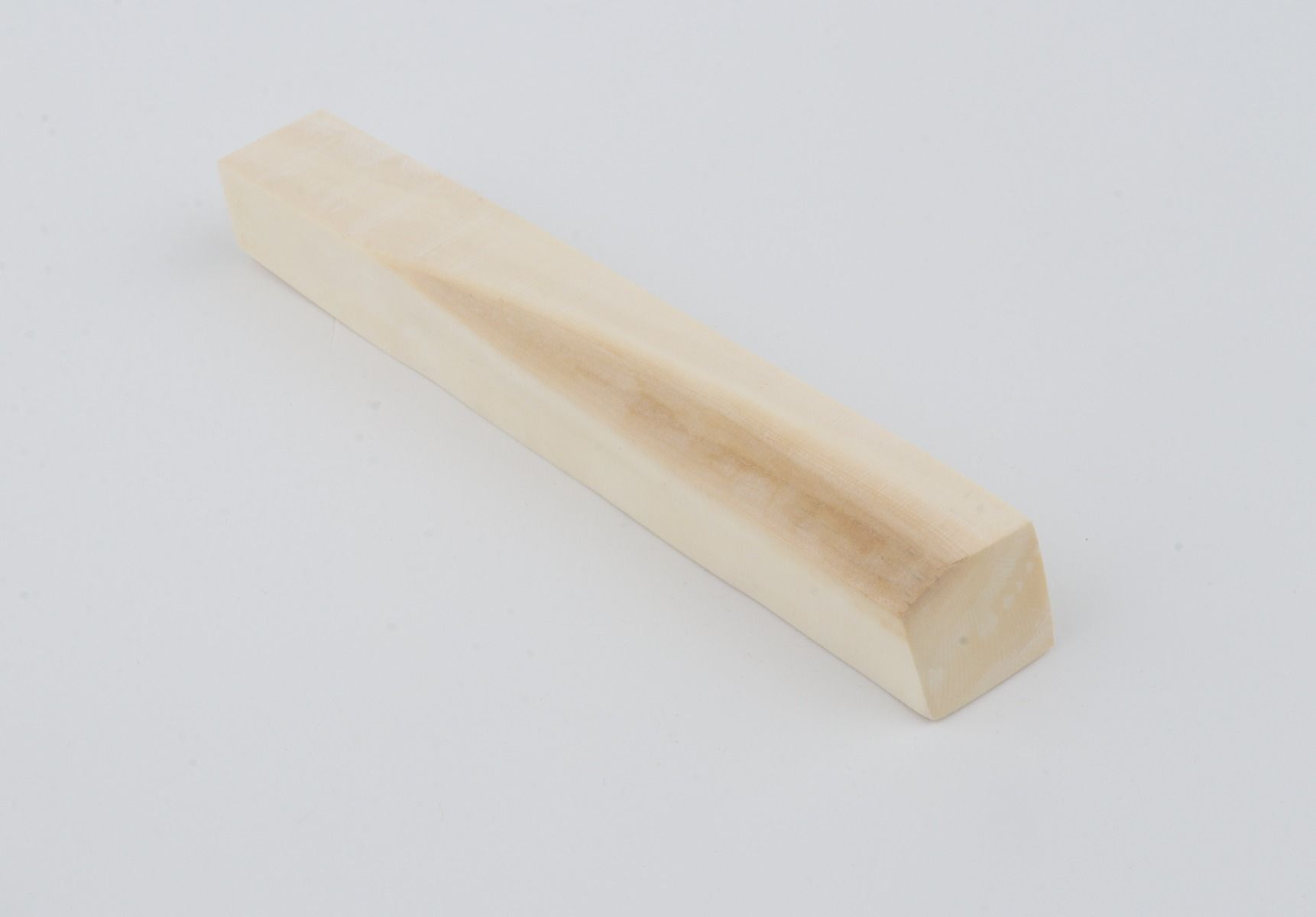 White mammoth ivory segment
