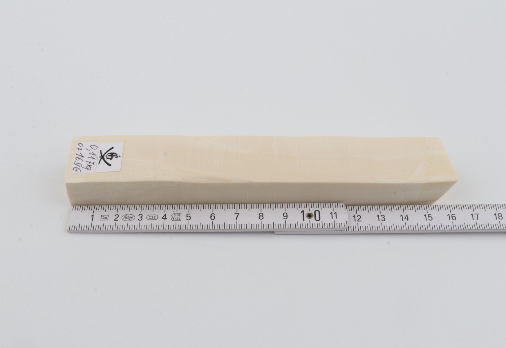 White mammoth ivory segment