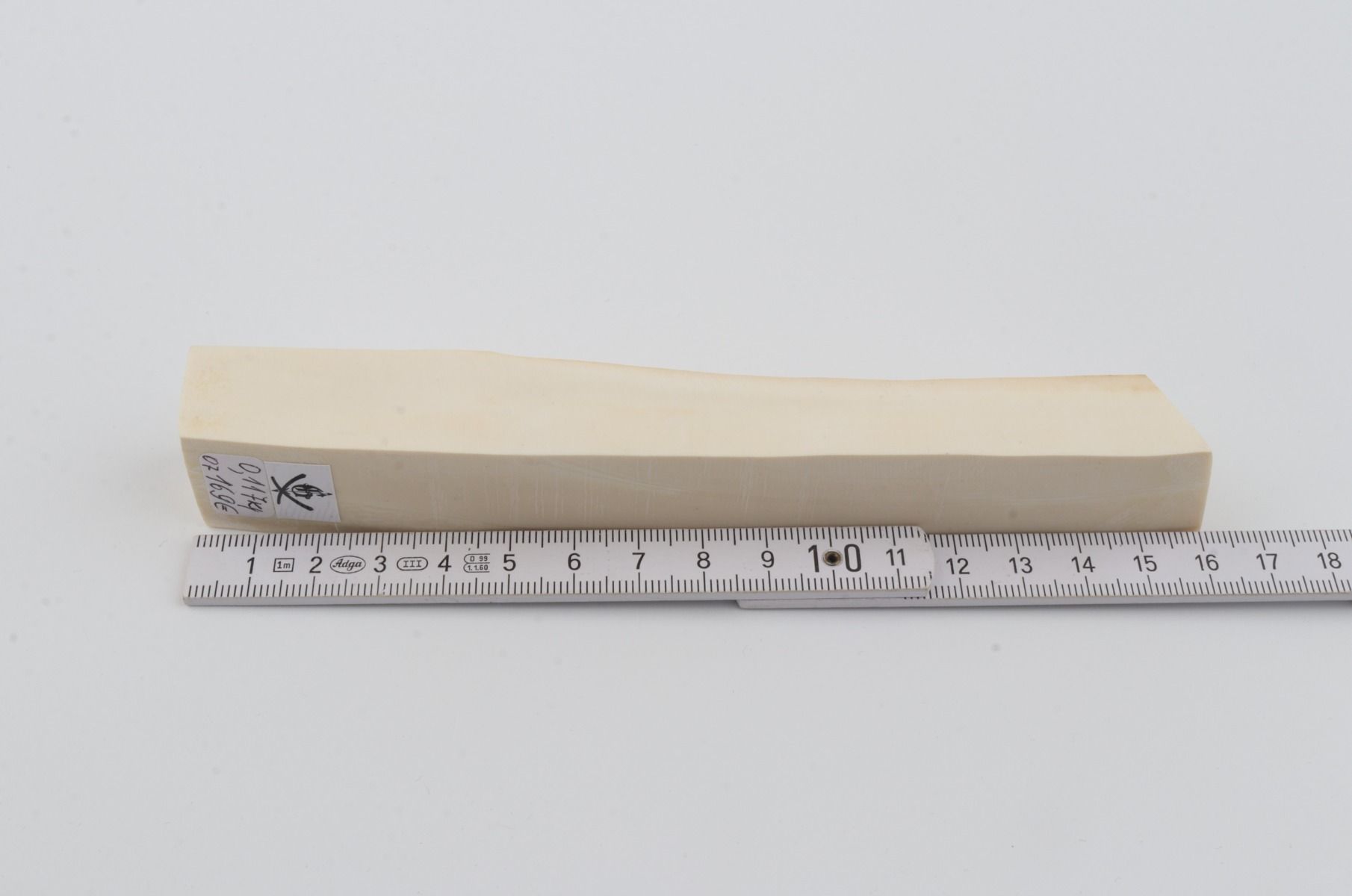 White mammoth ivory segment