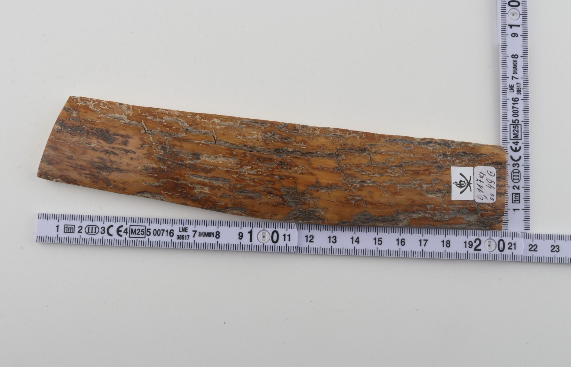 Mustard mammoth bark