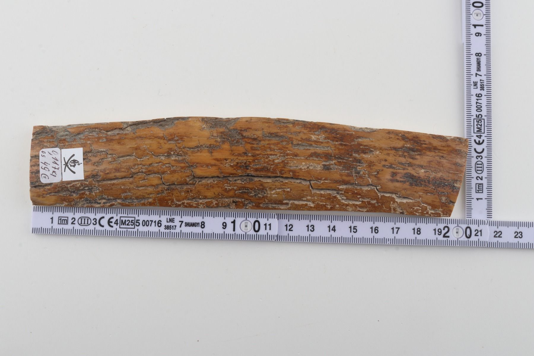 Mustard mammoth bark