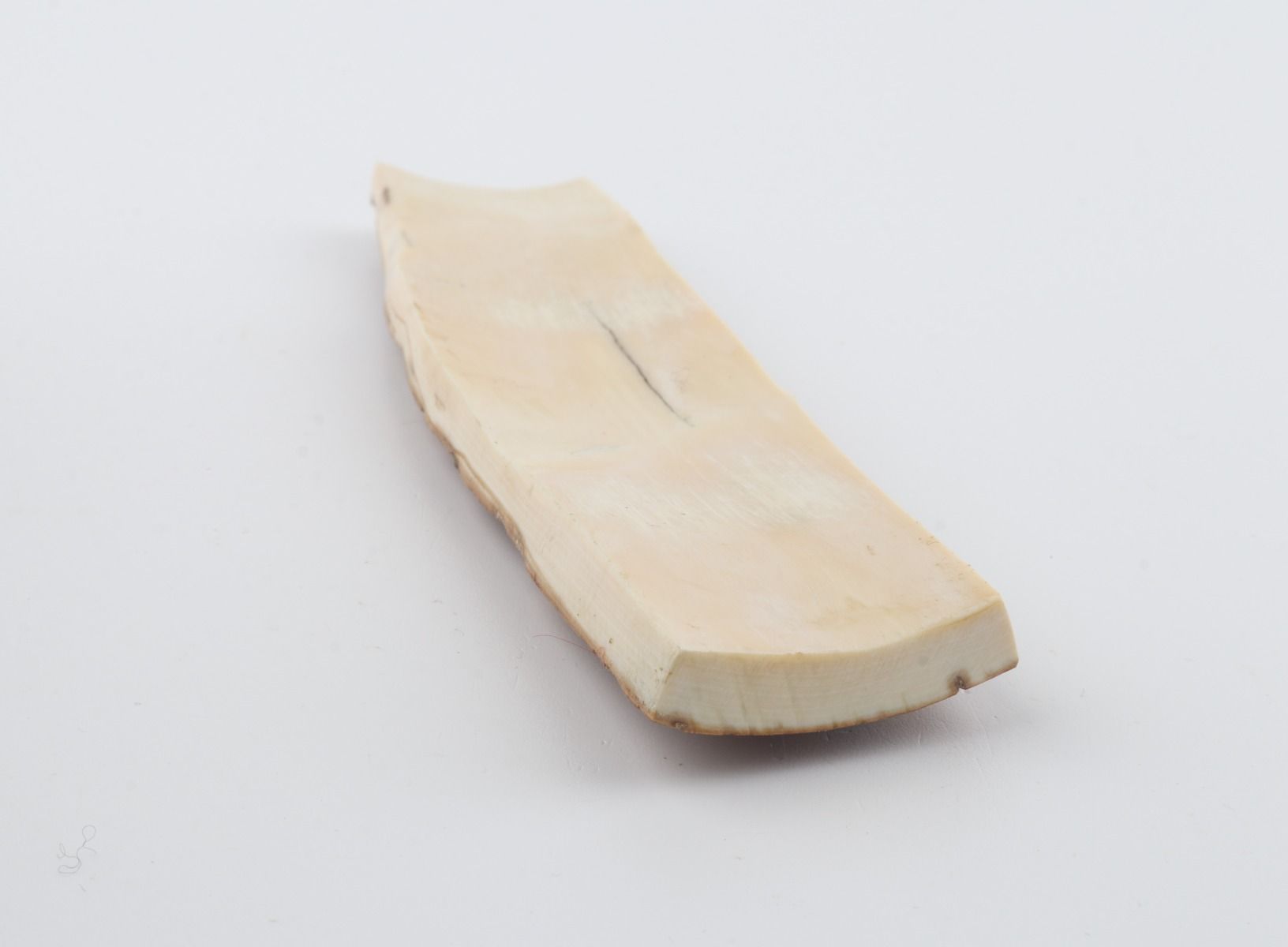 Mustard mammoth bark