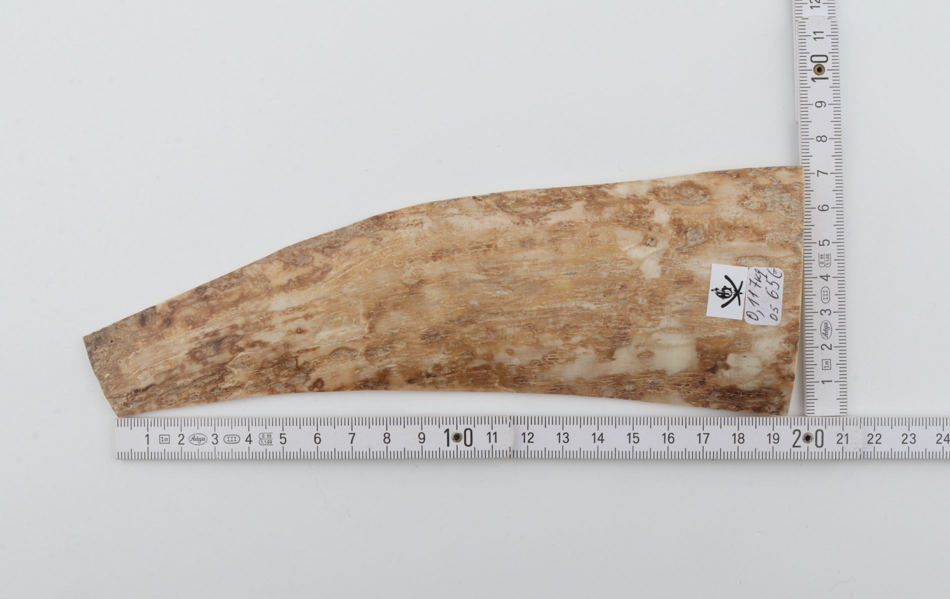 Beige mammoth bark