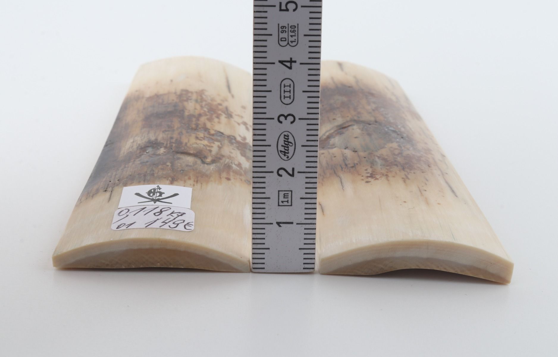 Natural mammoth bark scales