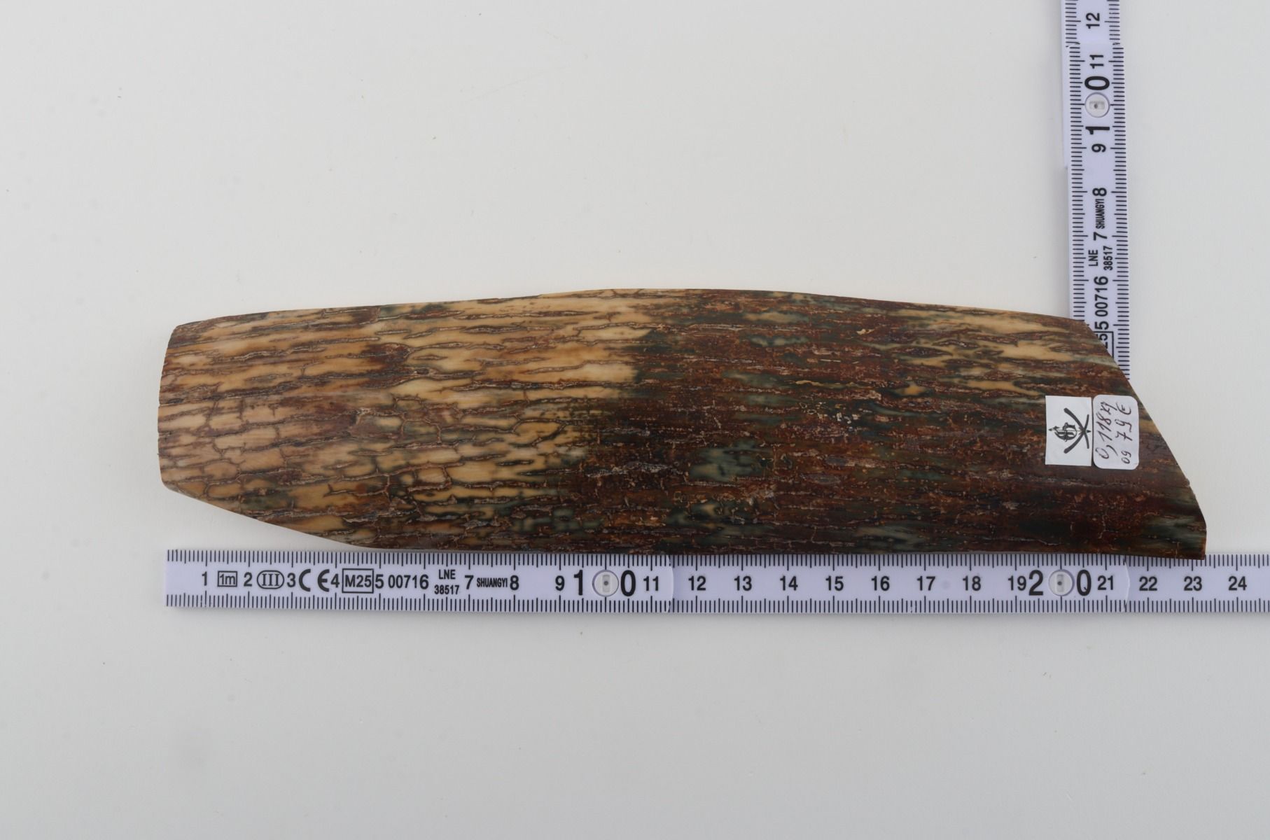 Natural woolly mammoth bark
