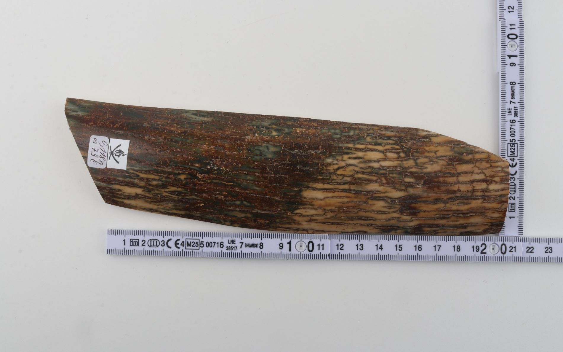 Natural woolly mammoth bark