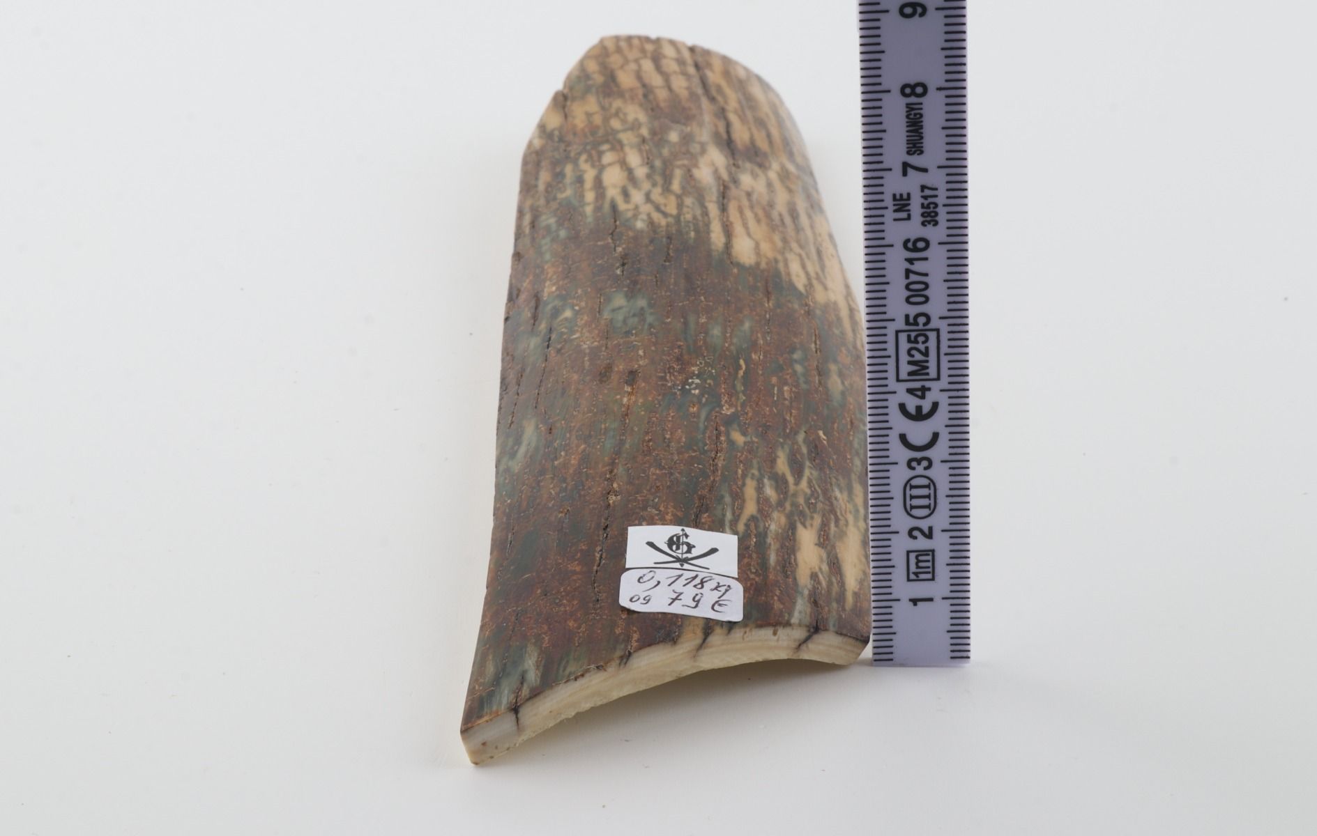 Natural woolly mammoth bark