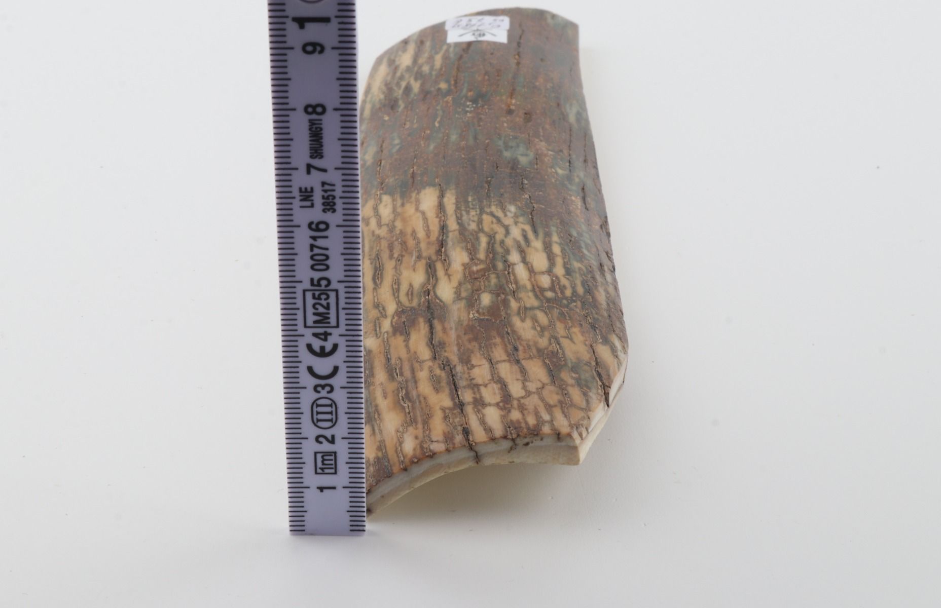 Natural woolly mammoth bark
