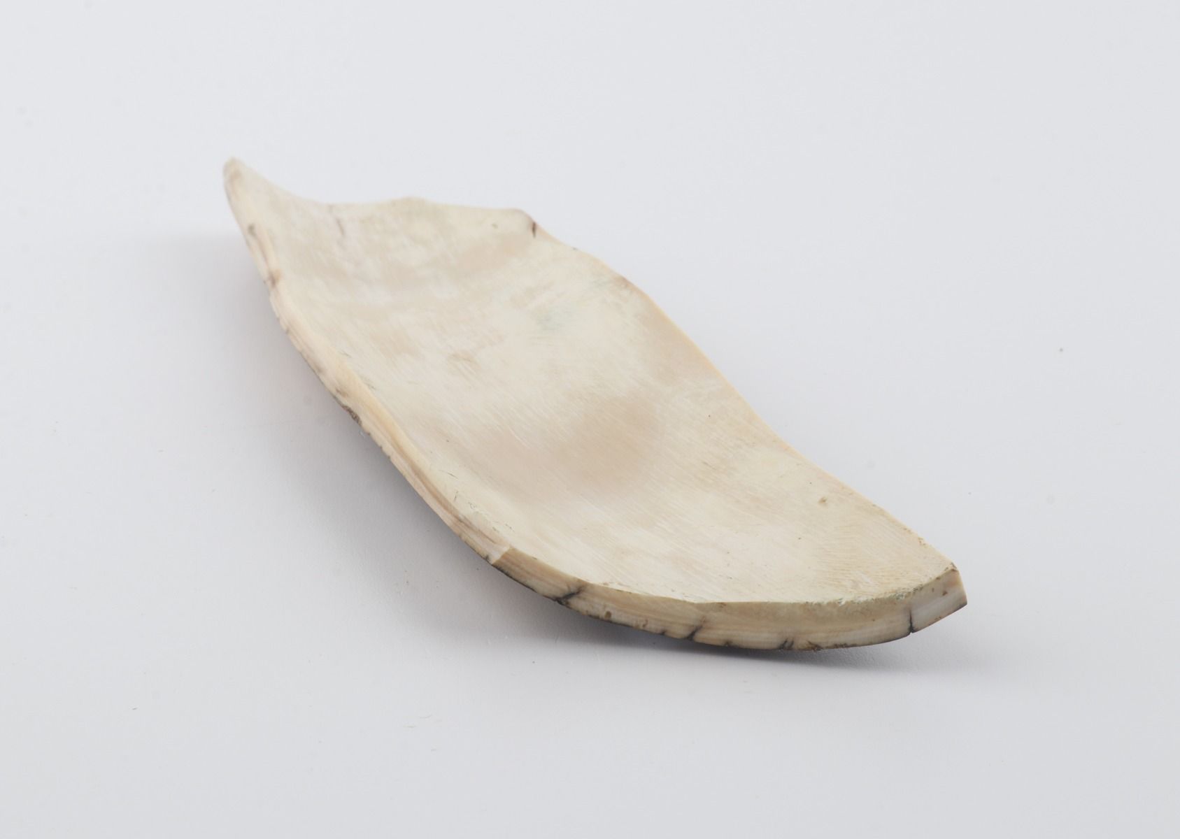 Natural woolly mammoth bark