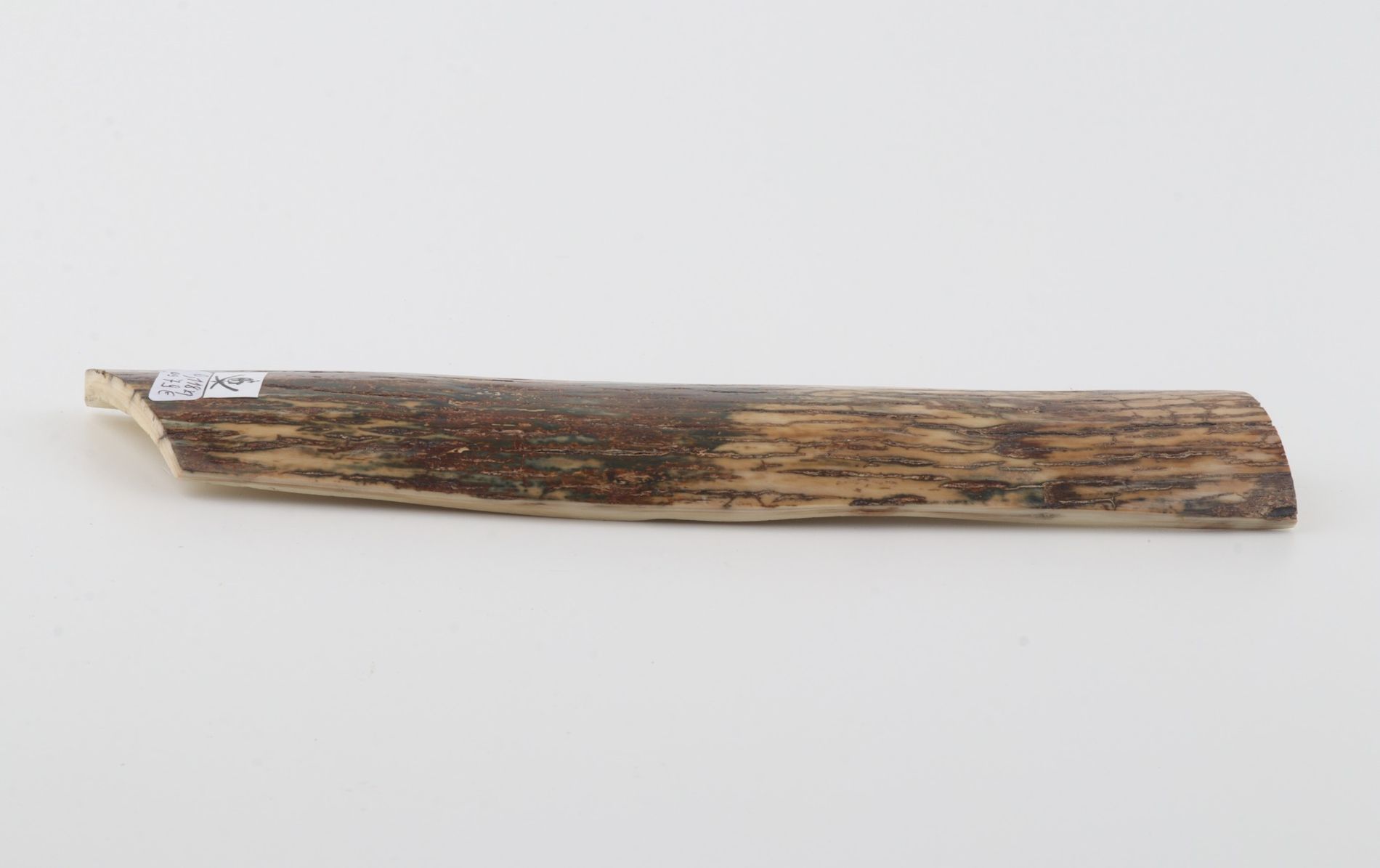 Natural woolly mammoth bark