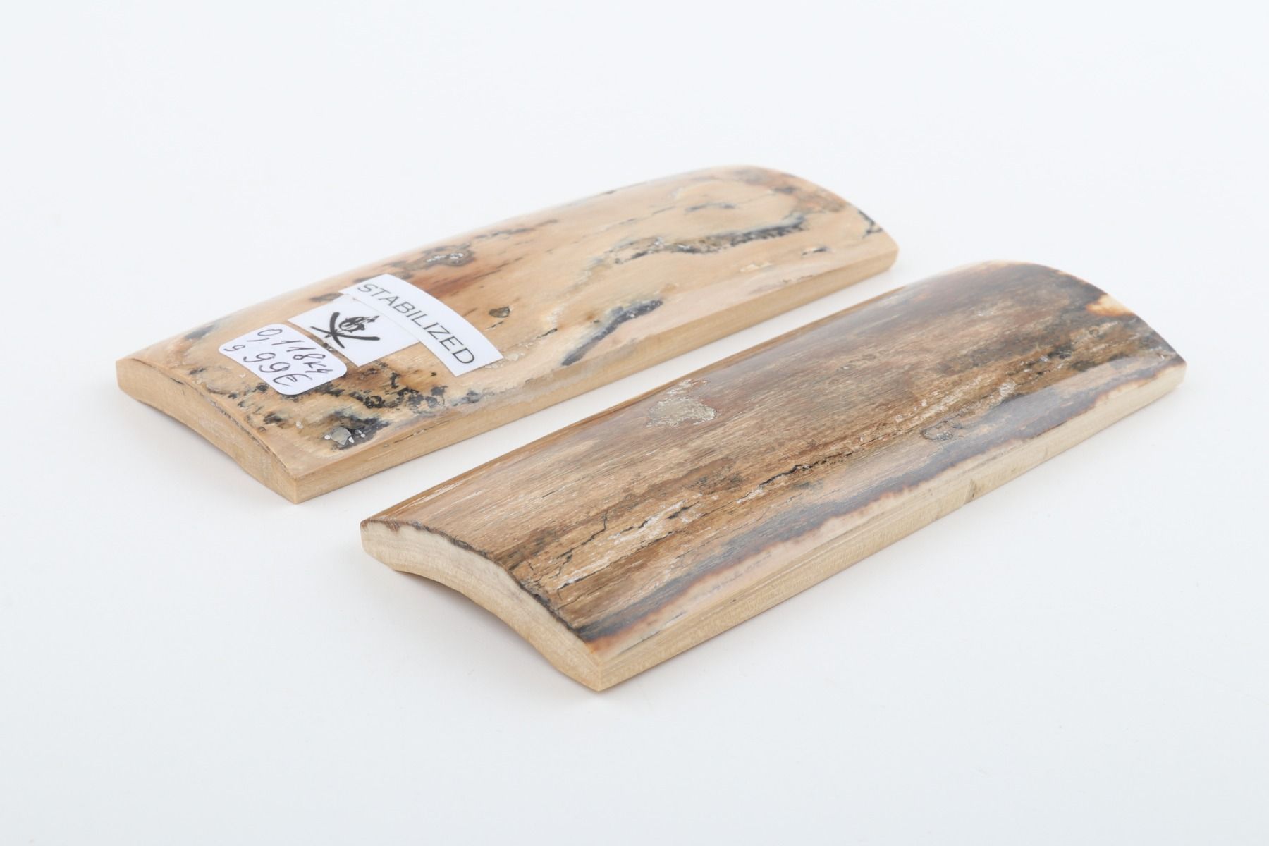 Stabilised mammoth bark scales