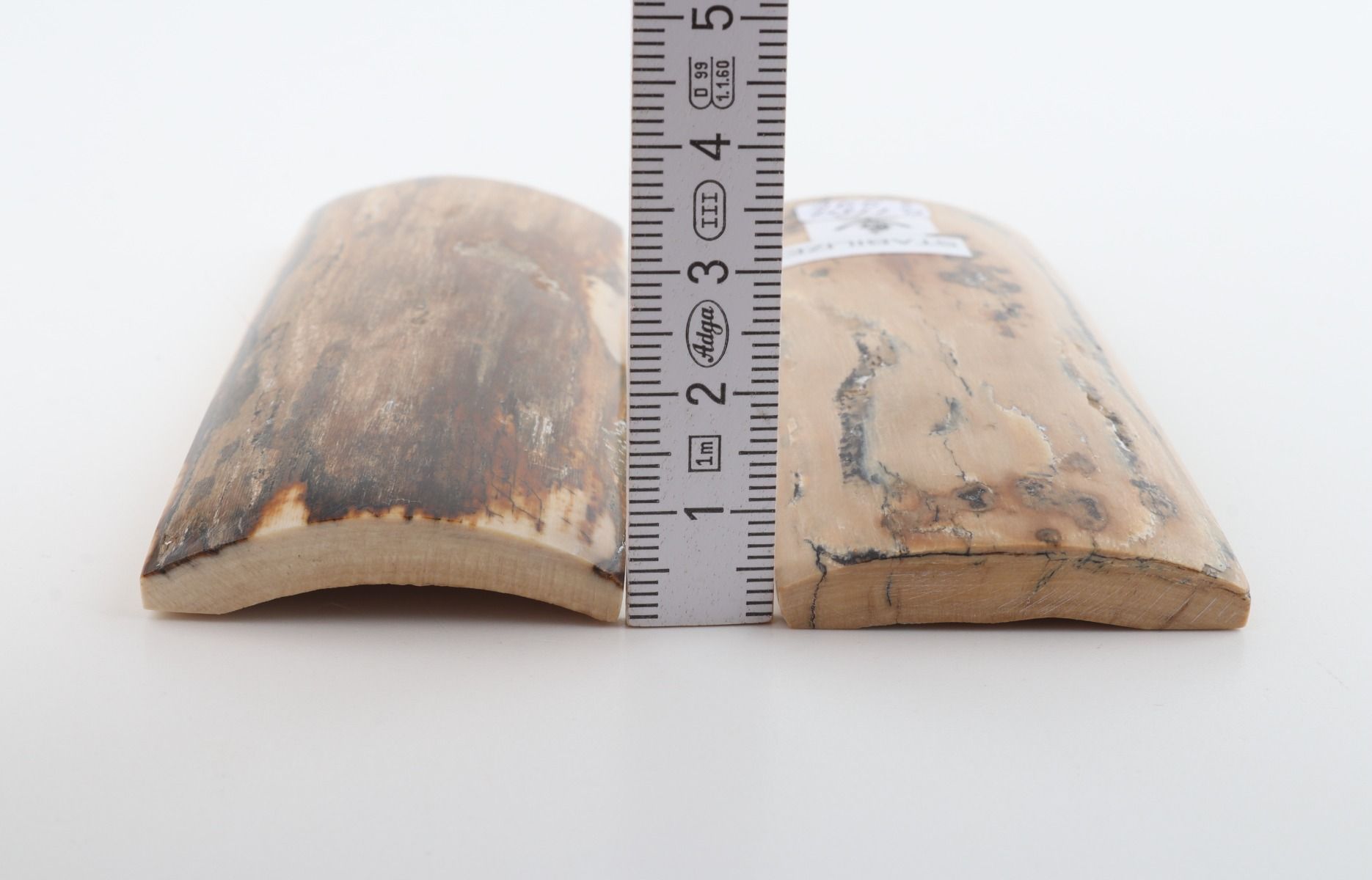 Stabilised mammoth bark scales