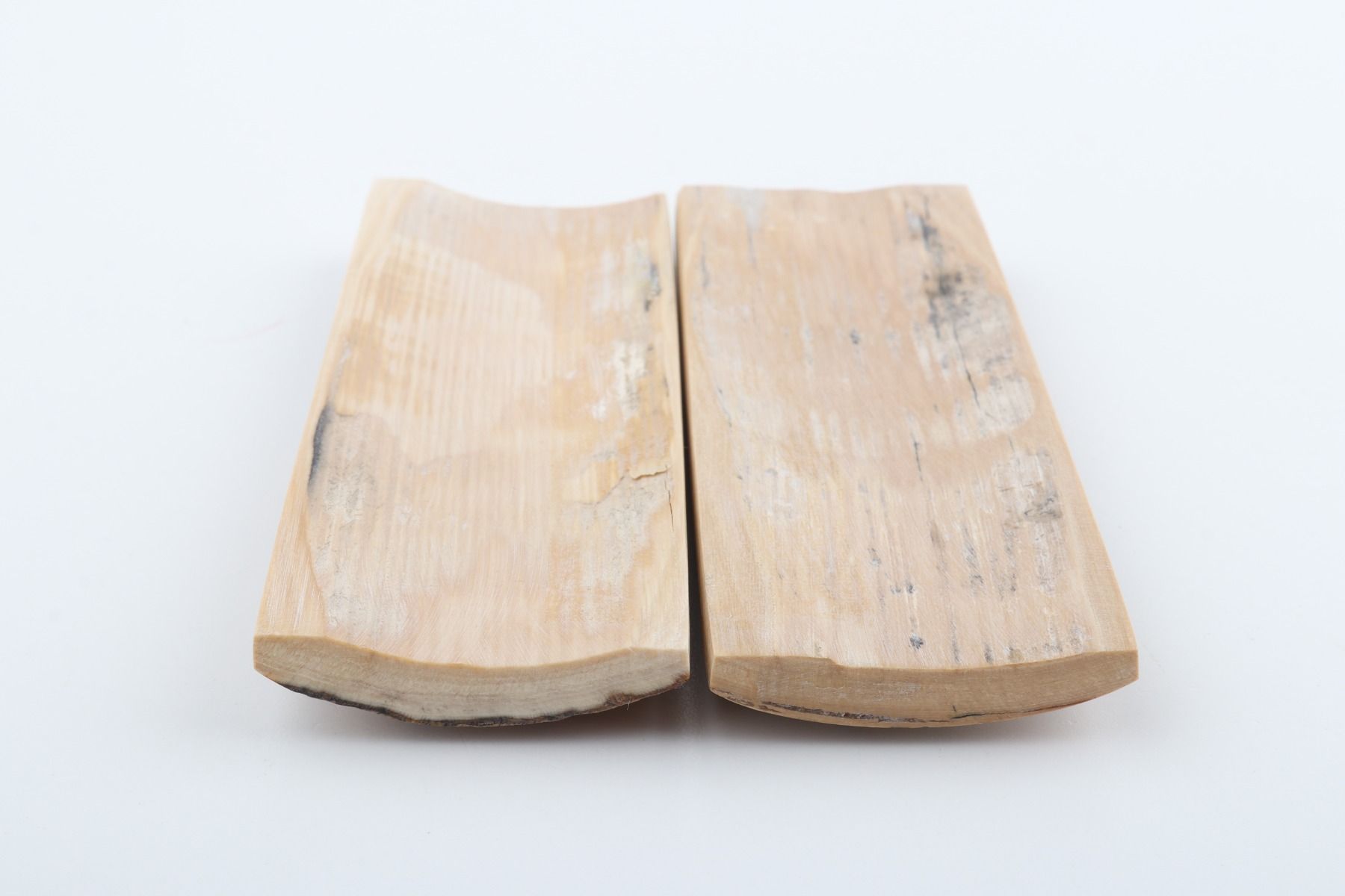 Stabilised mammoth bark scales