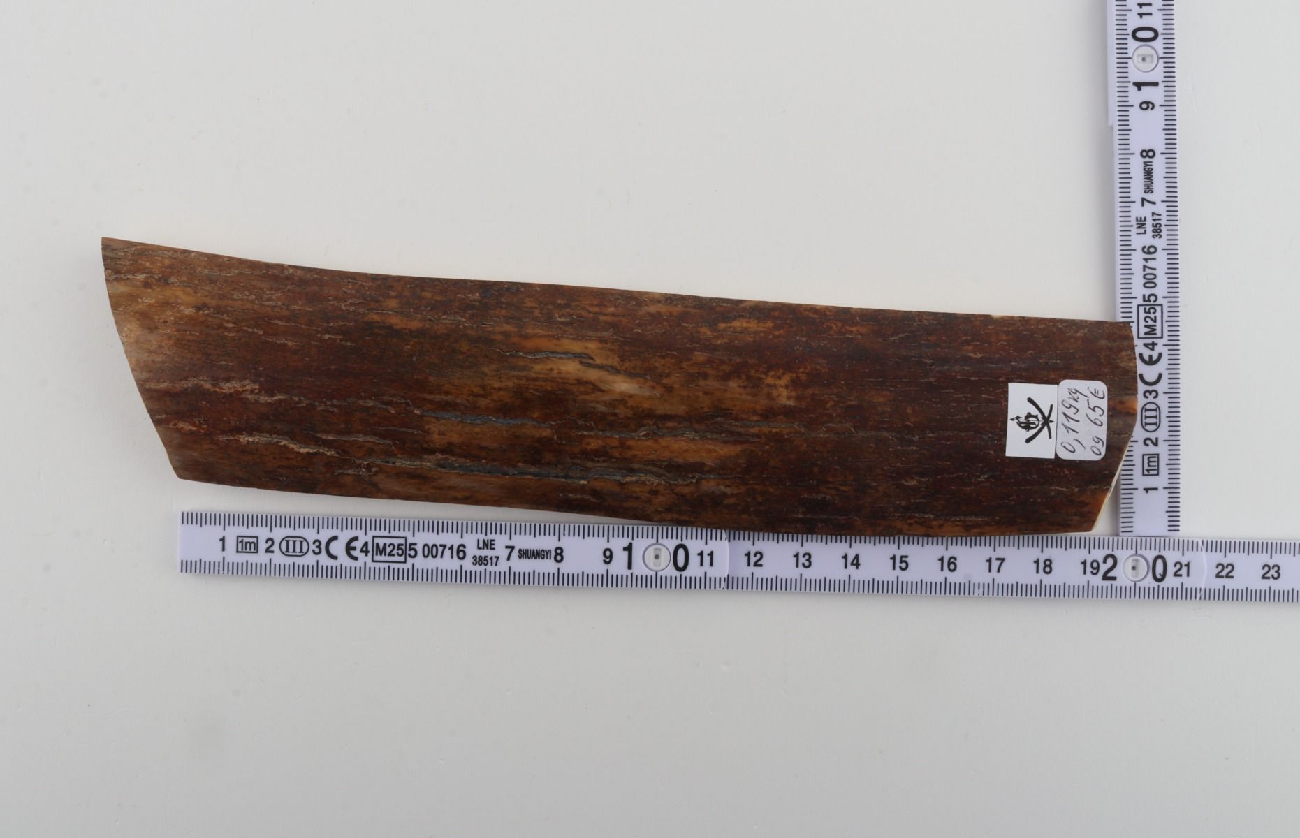 Brown mammoth bark