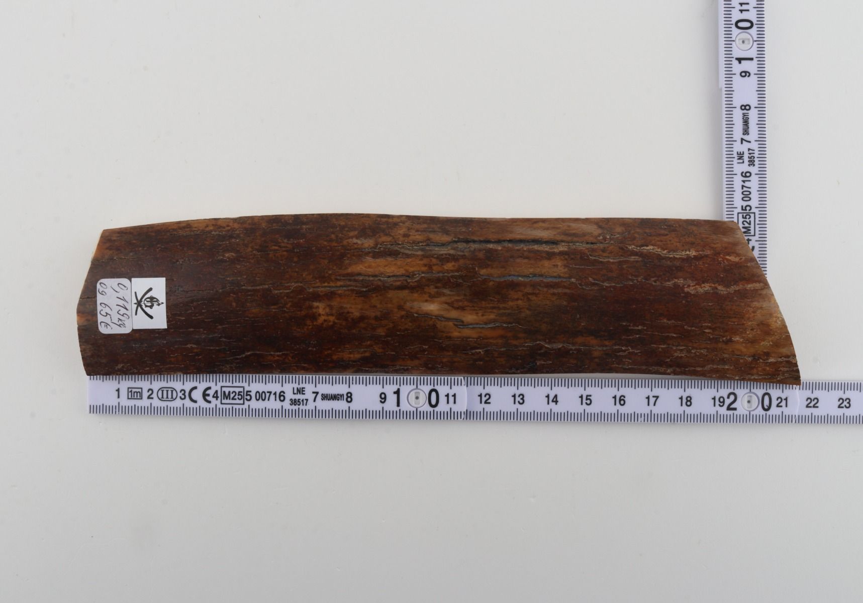 Brown mammoth bark