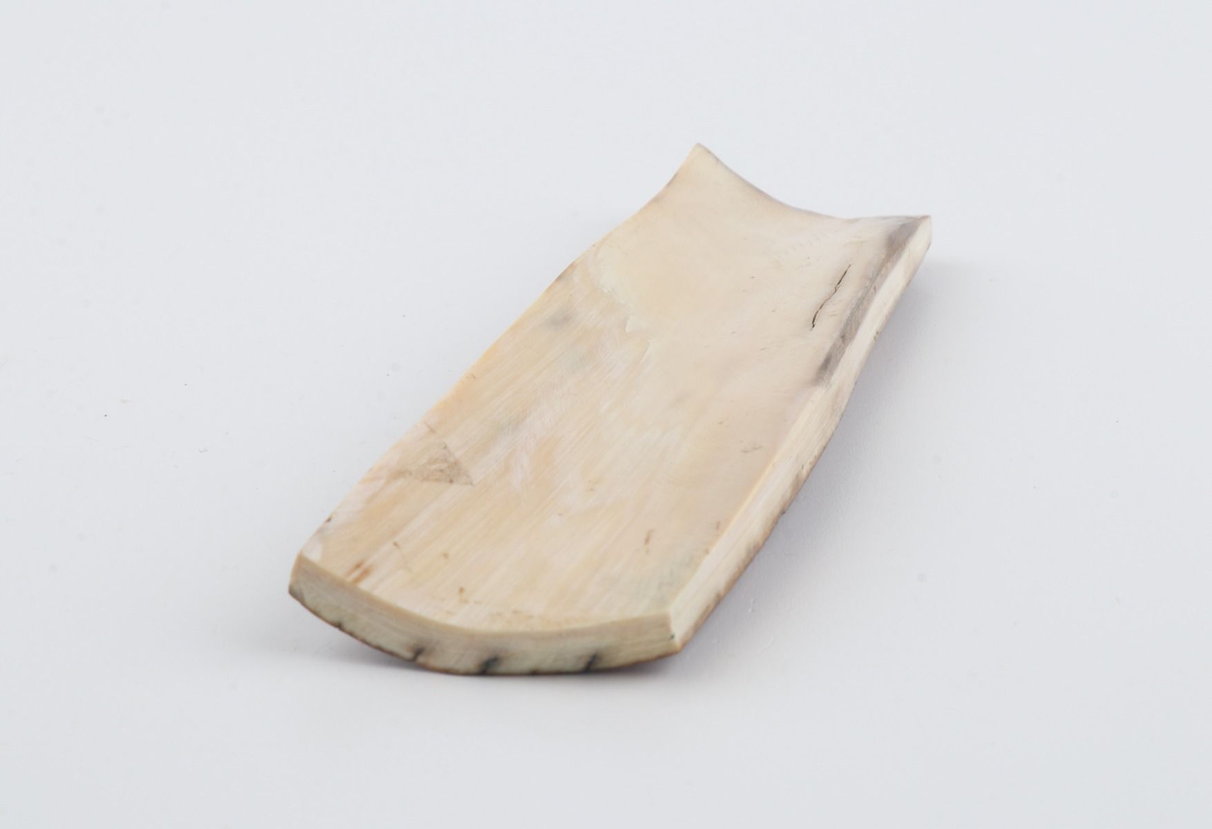 Brown mammoth bark