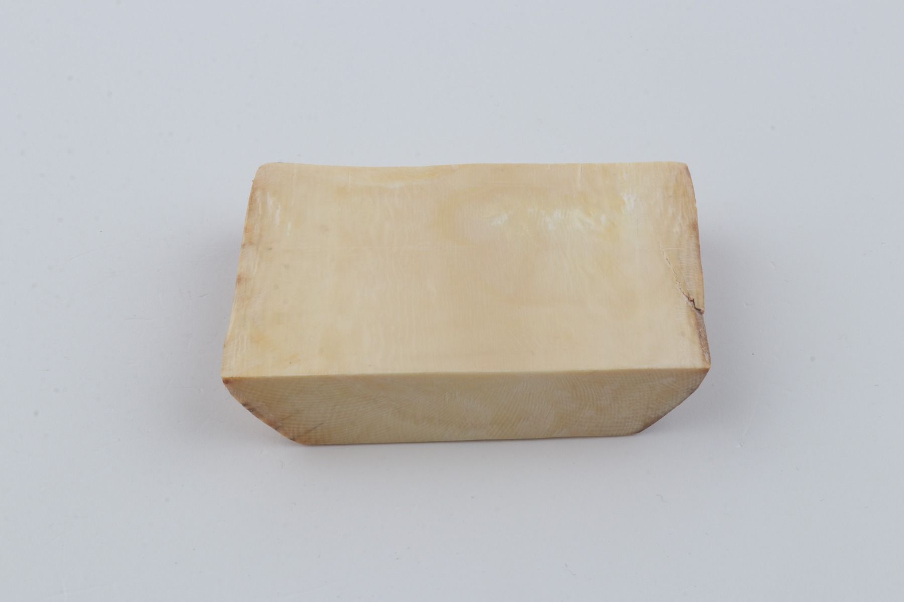 White mammoth ivory segment