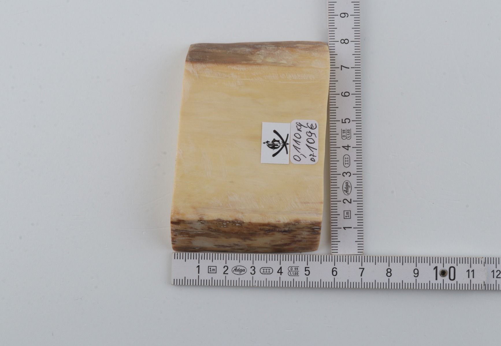 White mammoth ivory segment